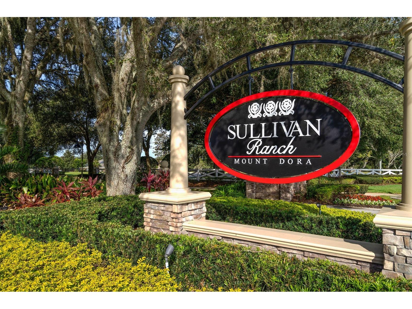 30148 Jutland Court Mount Dora FL 32757 O6424733 image54
