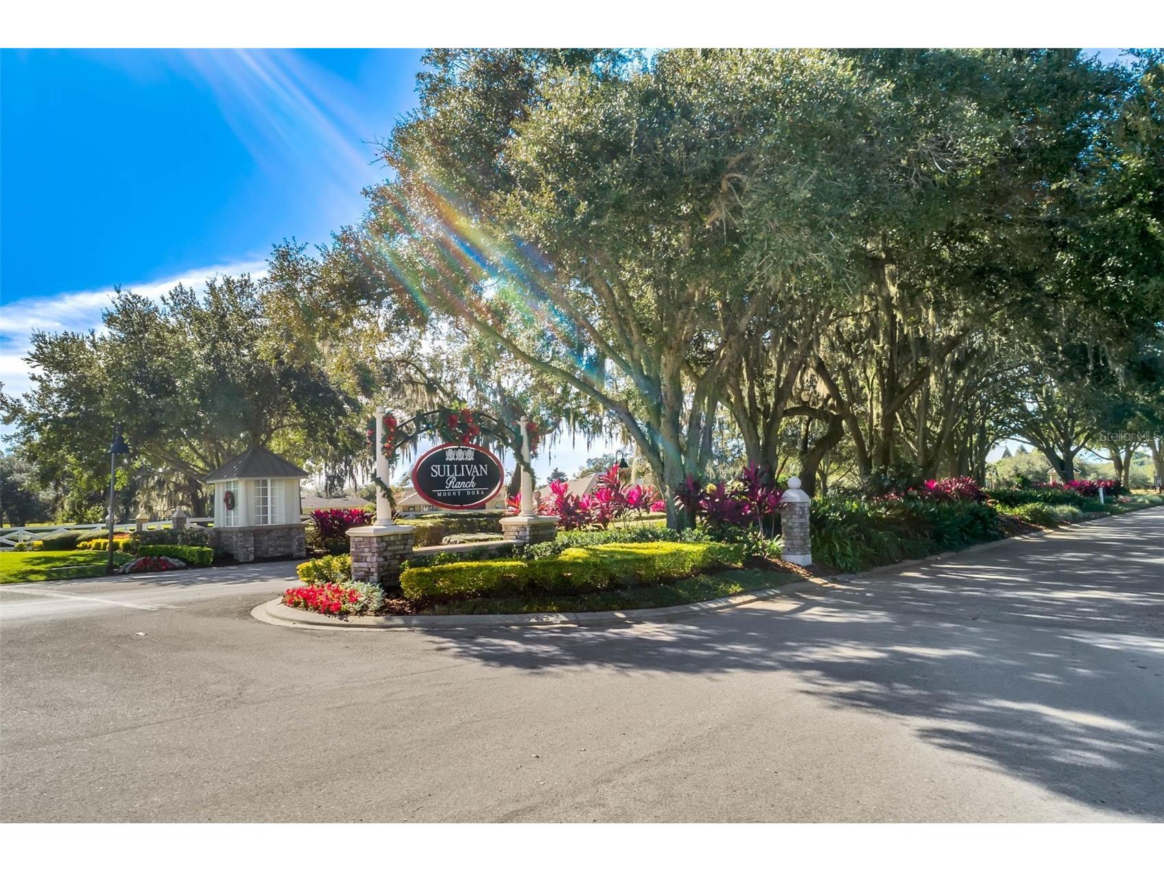 30148 Jutland Court Mount Dora FL 32757 O6424733 image56