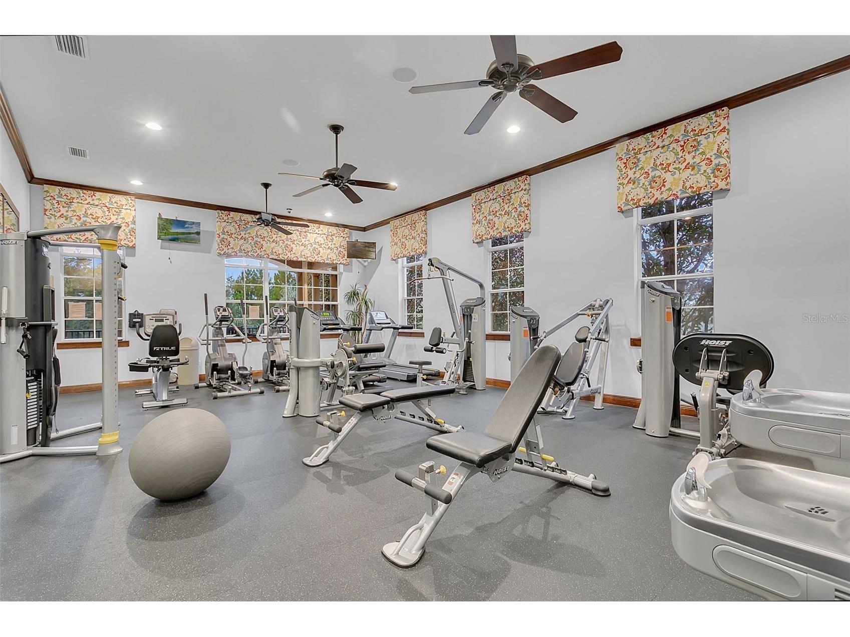 30148 Jutland Court Mount Dora FL 32757 O6424733 image63