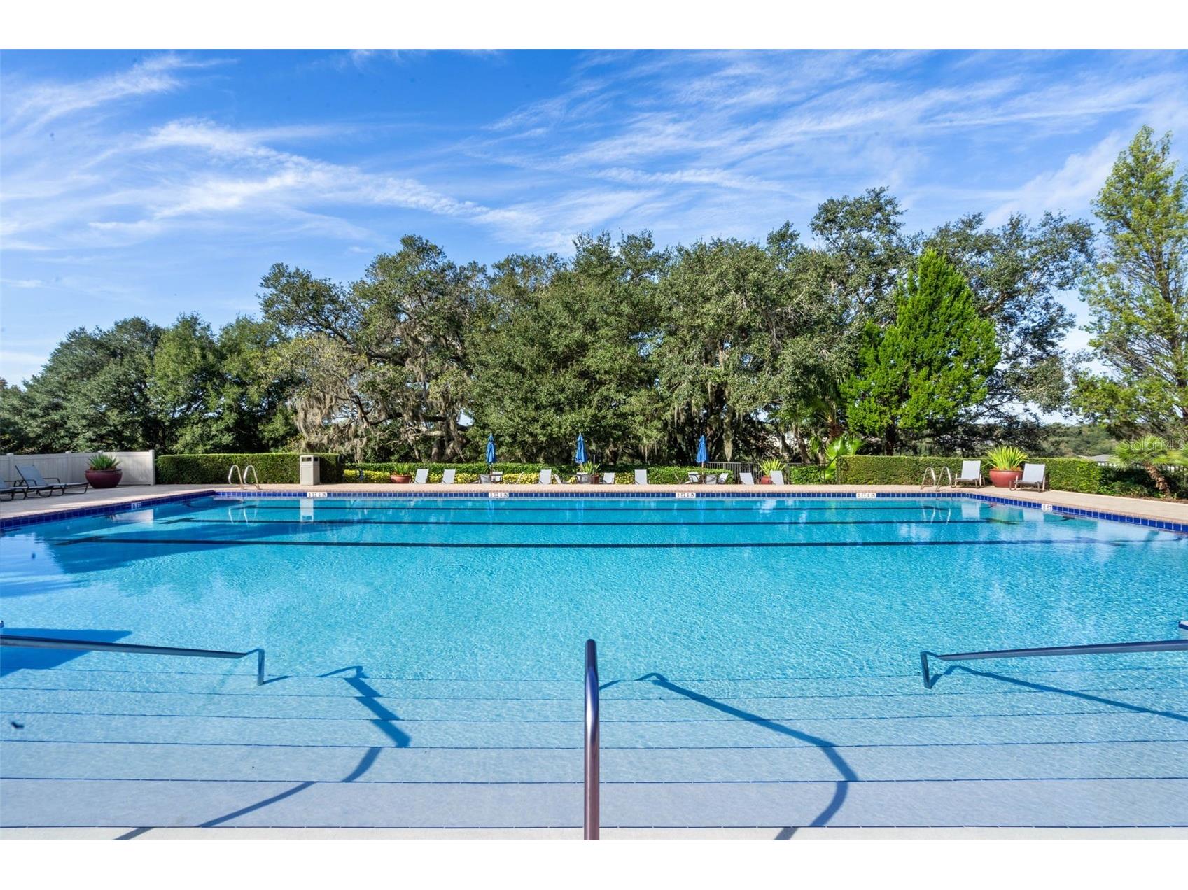30148 Jutland Court Mount Dora FL 32757 O6424733 image67