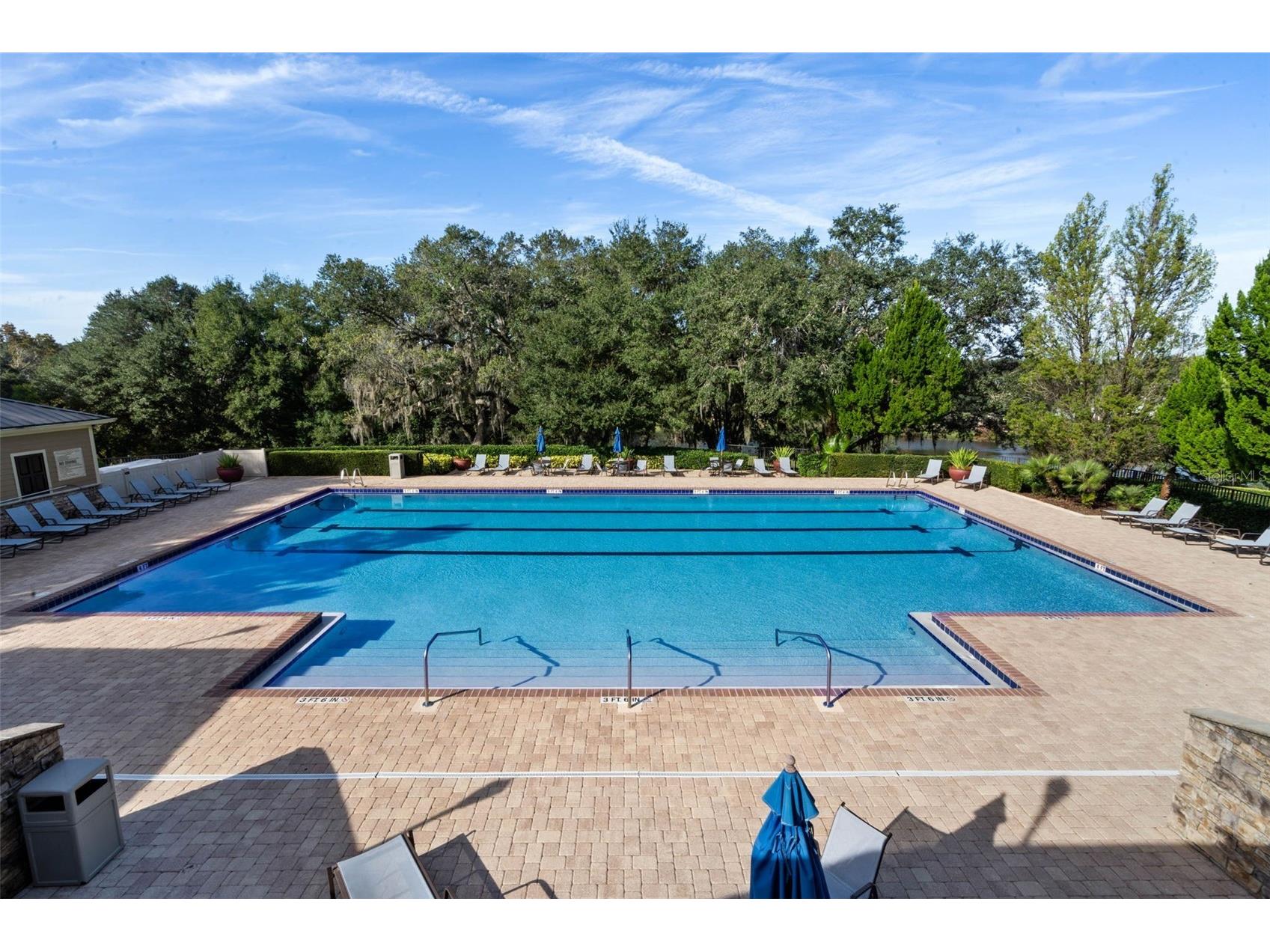 30148 Jutland Court Mount Dora FL 32757 O6424733 image68
