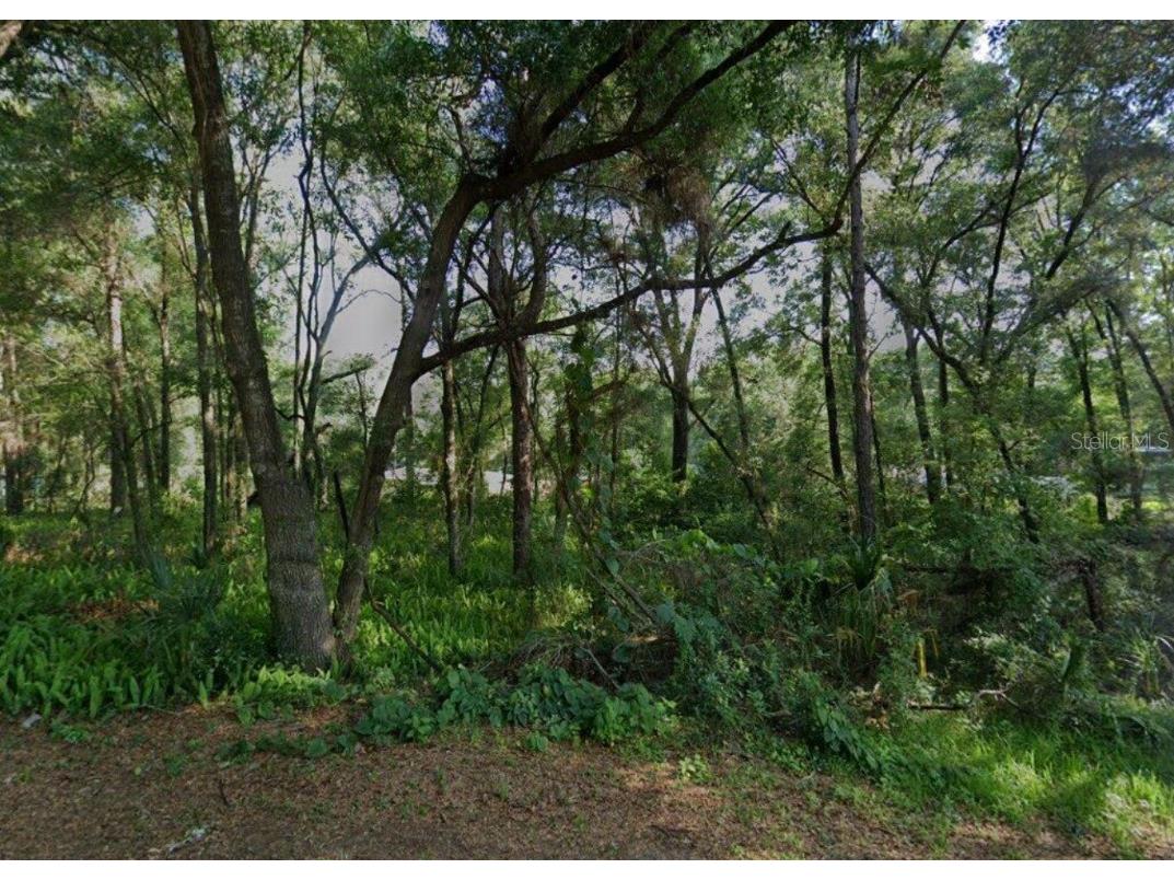 3015 Eisenhower Street W Inverness FL 34453 TB8417454 image1