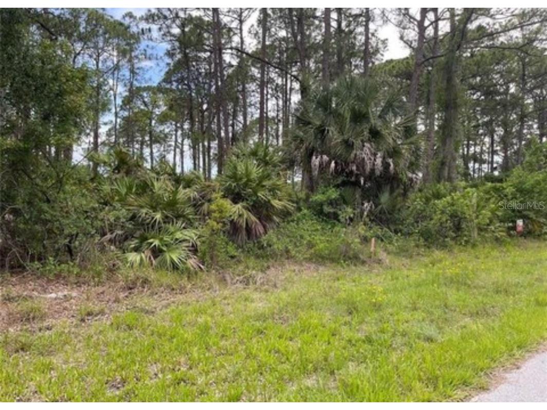 3015 Eisenhower Street W Inverness FL 34453 TB8417454 image3