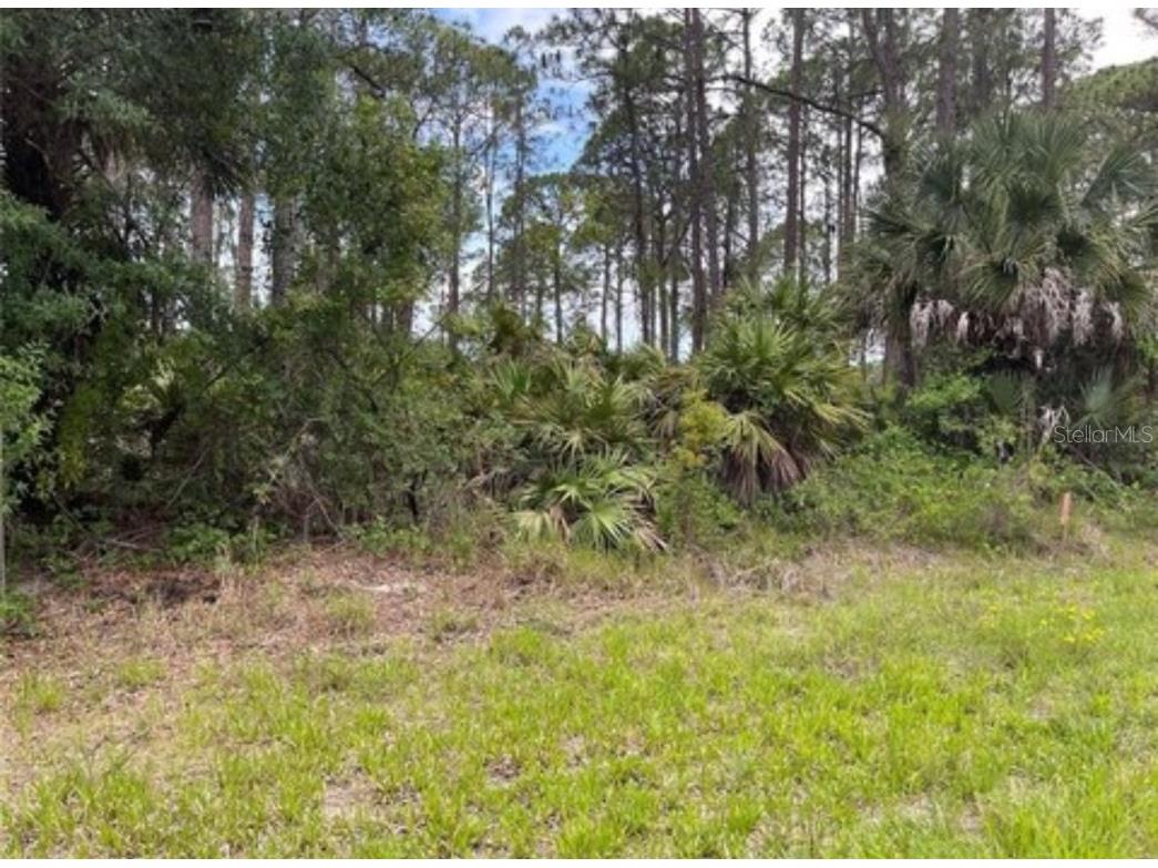 3015 Eisenhower Street W Inverness FL 34453 TB8417454 image4