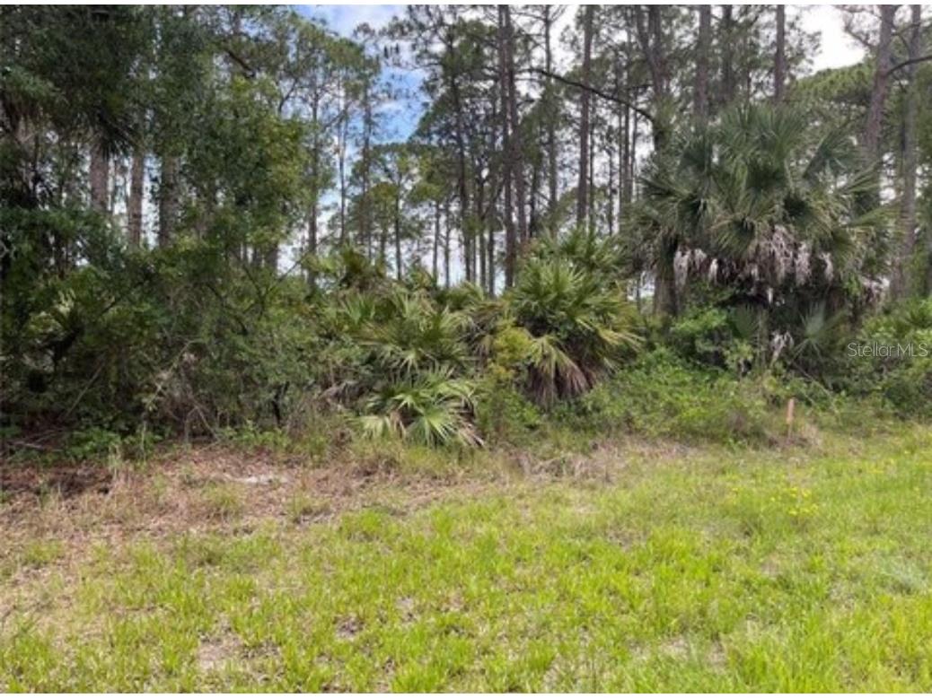 3015 Eisenhower Street W Inverness FL 34453 TB8417454 image5