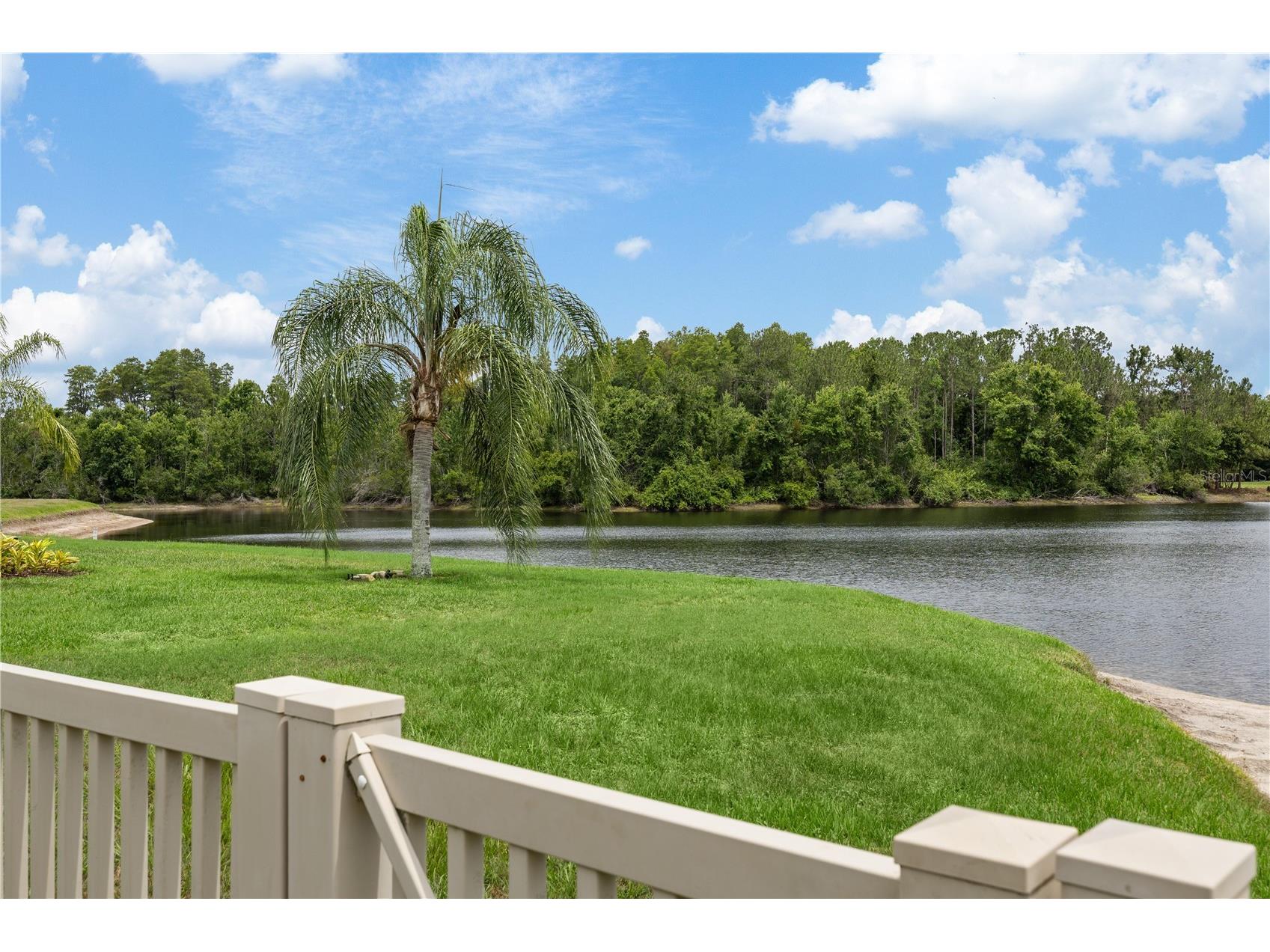 3015 Lynwood Court Land O Lakes FL 34638 TB8446957 image4