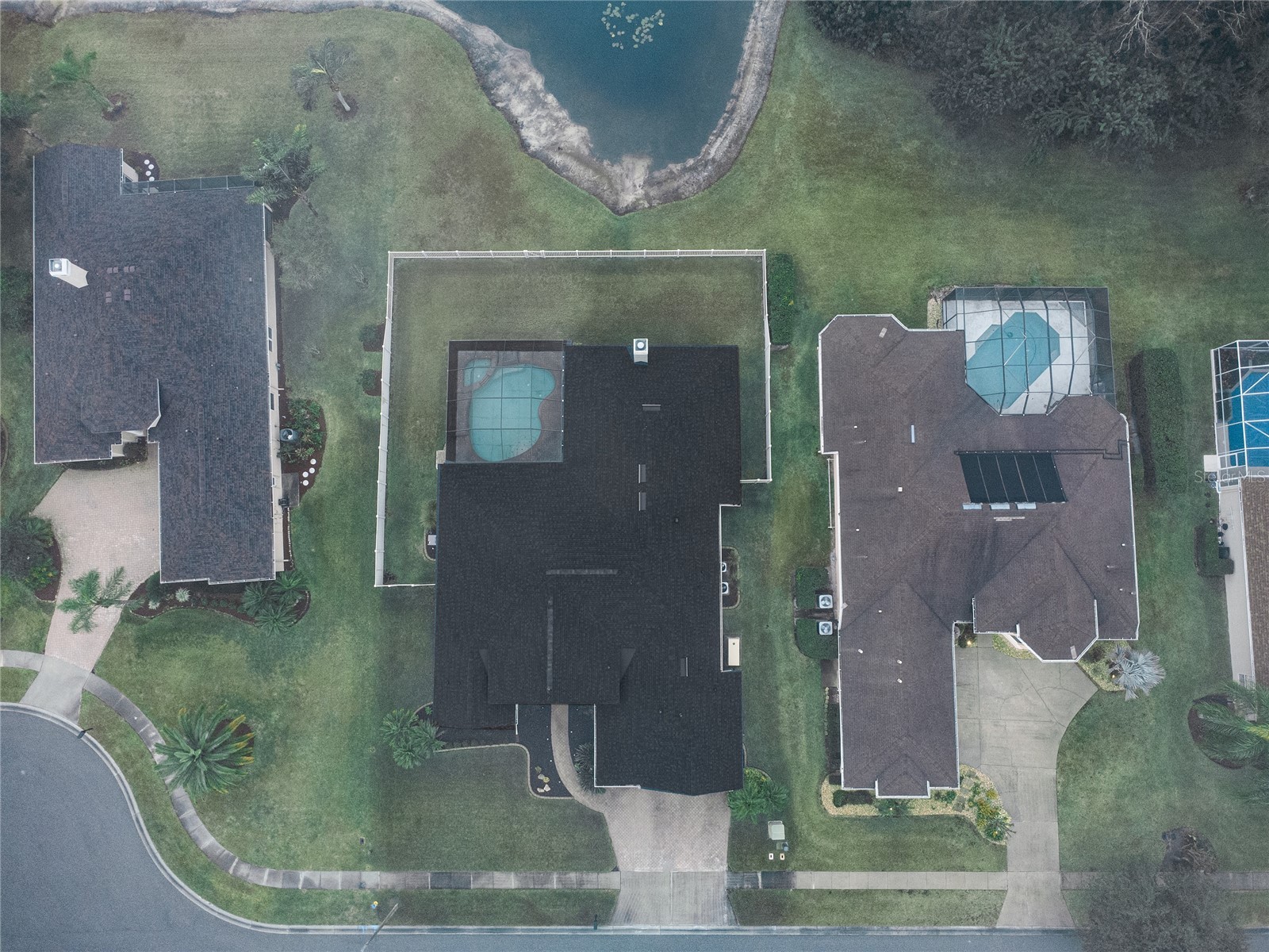 3015 Lynwood Court Land O Lakes FL 34638 TB8446957 image52