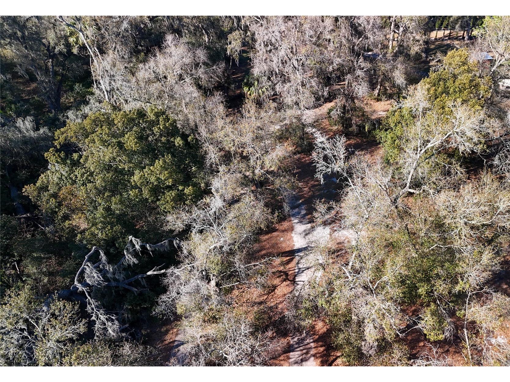 3015 Owls Nest Lane Plant City FL 33565 GC537869 image10