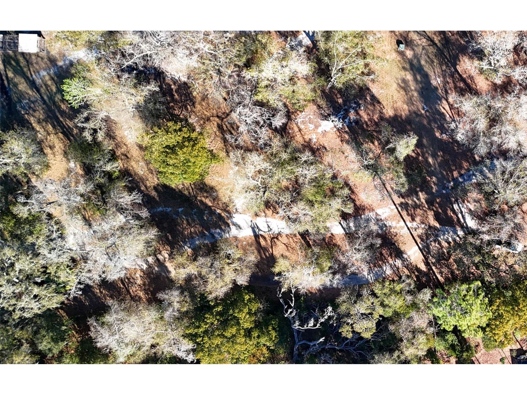 3015 Owls Nest Lane Plant City FL 33565 GC537869 image11