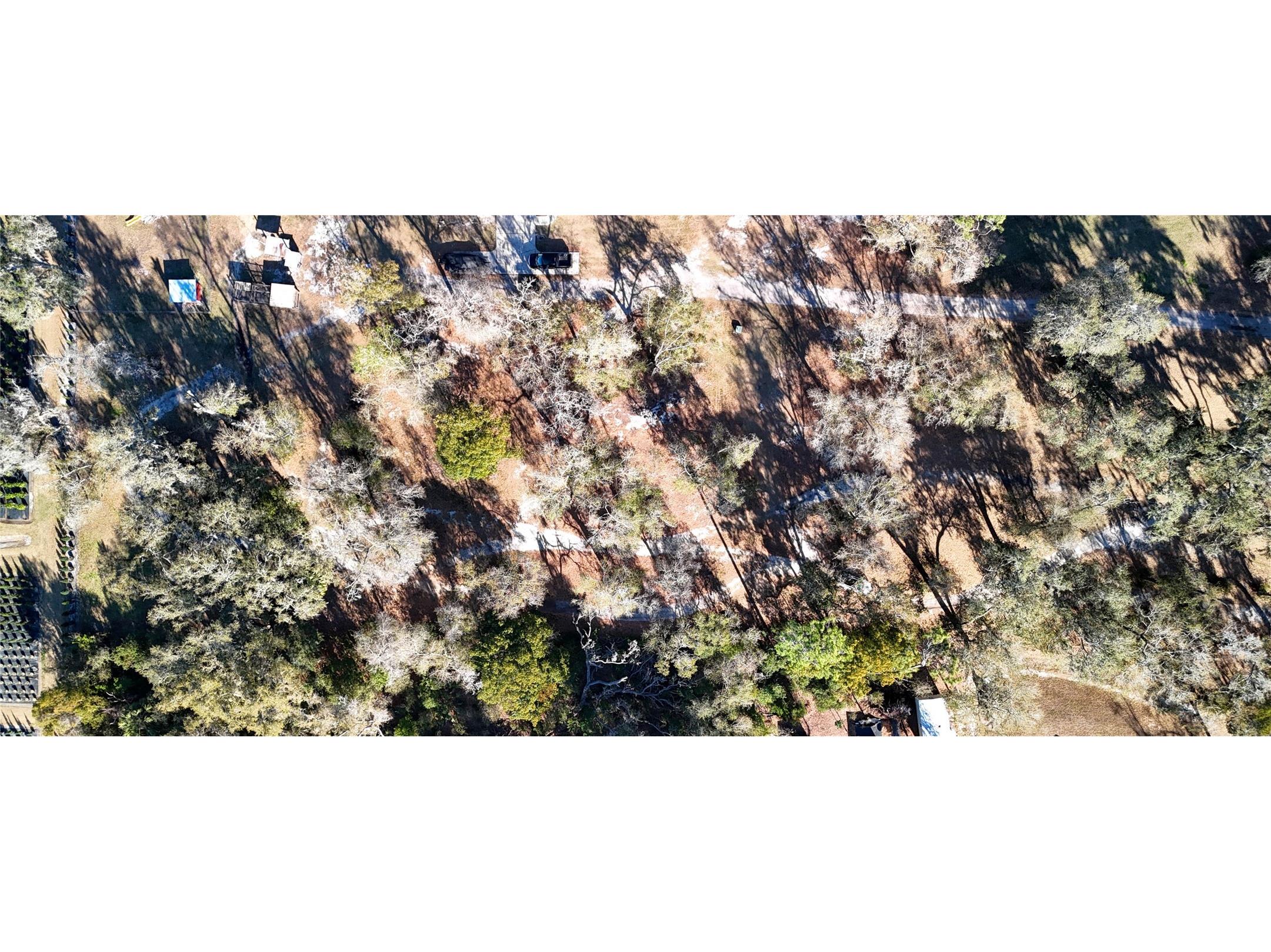 3015 Owls Nest Lane Plant City FL 33565 GC537869 image15
