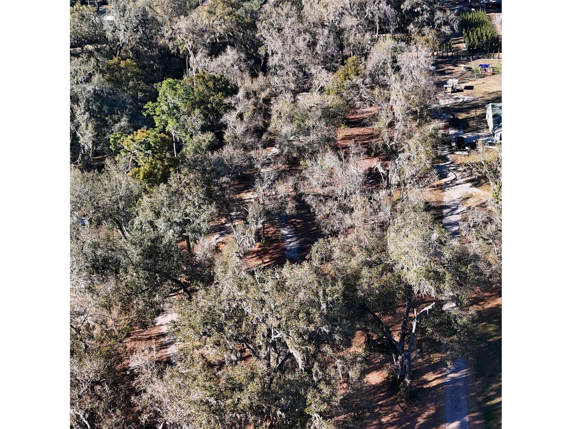 3015 Owls Nest Lane Plant City FL 33565 GC537869 image17