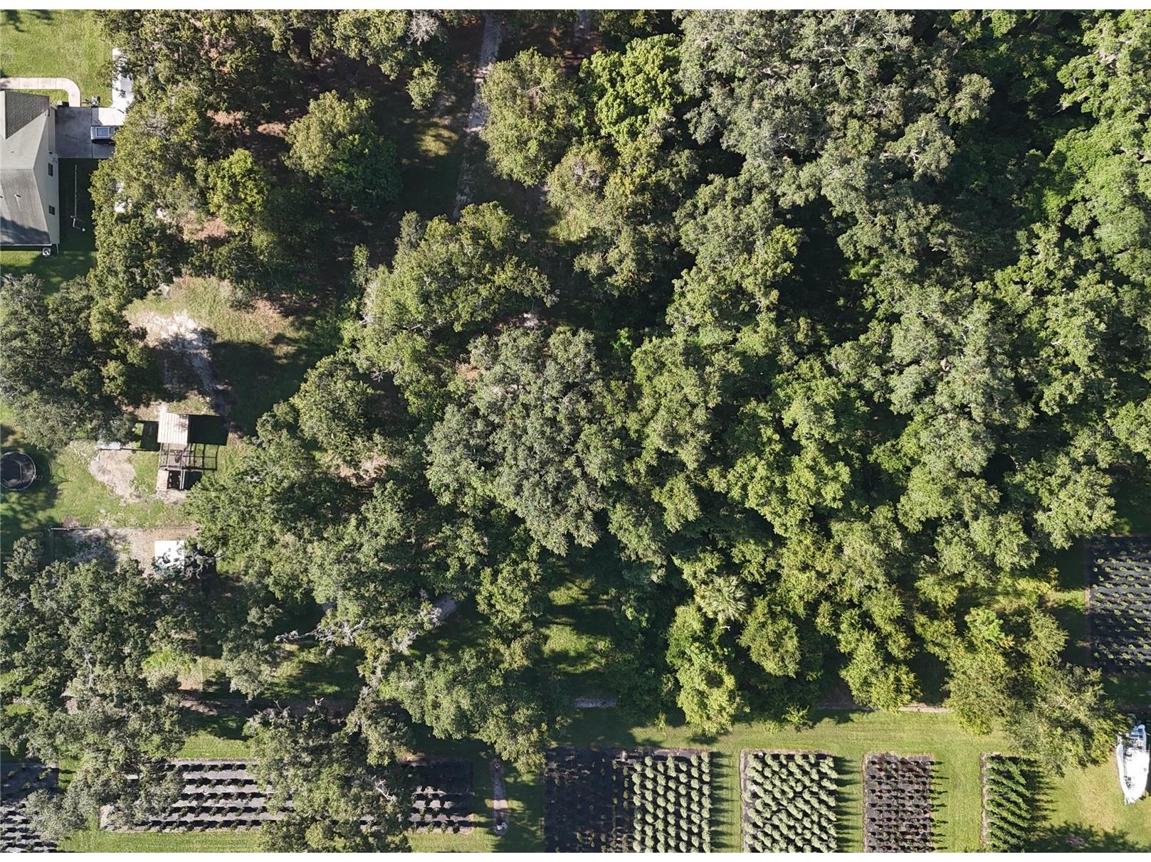 3015 Owls Nest Lane Plant City FL 33565 GC537869 image3