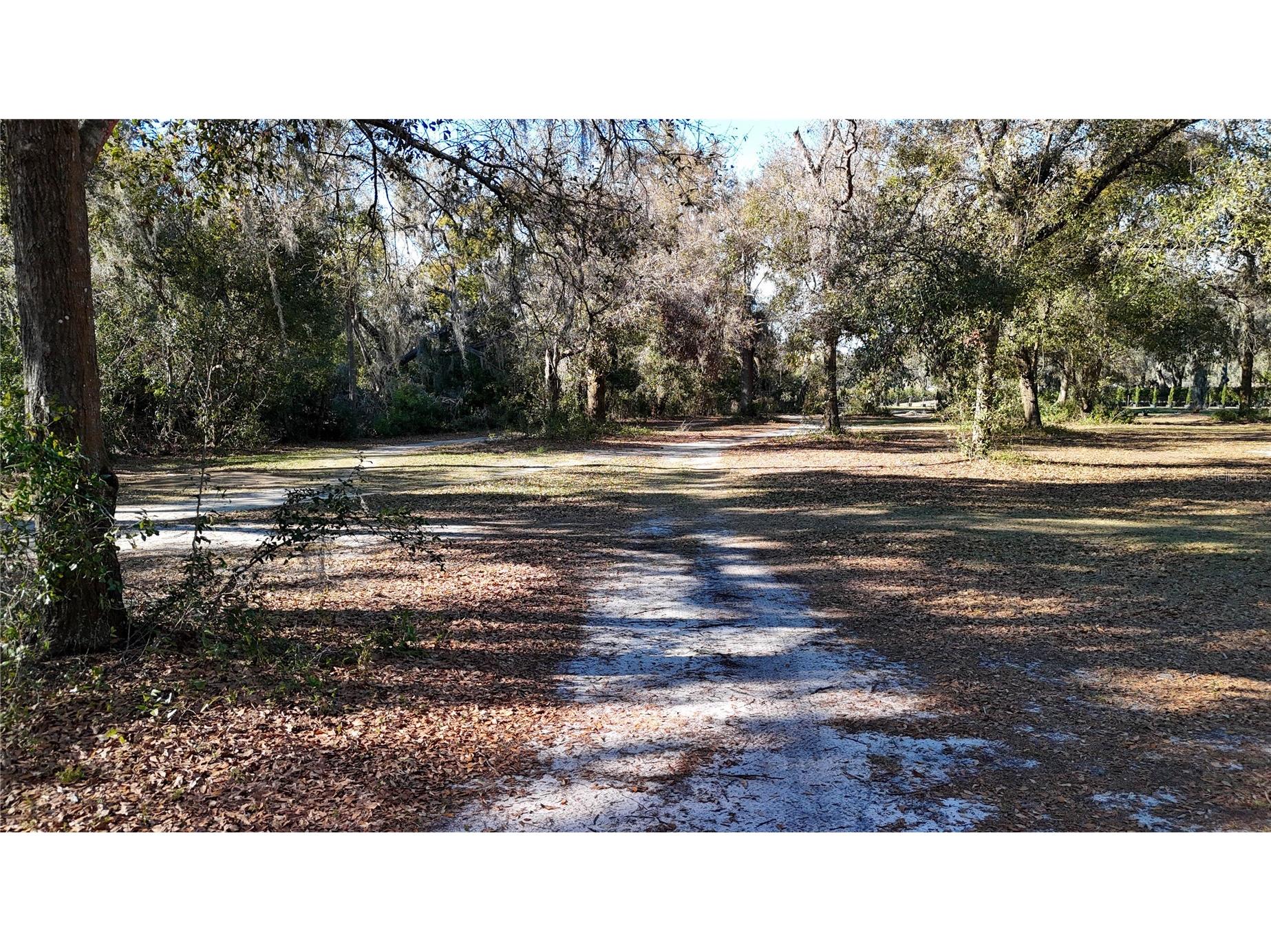 3015 Owls Nest Lane Plant City FL 33565 GC537869 image6