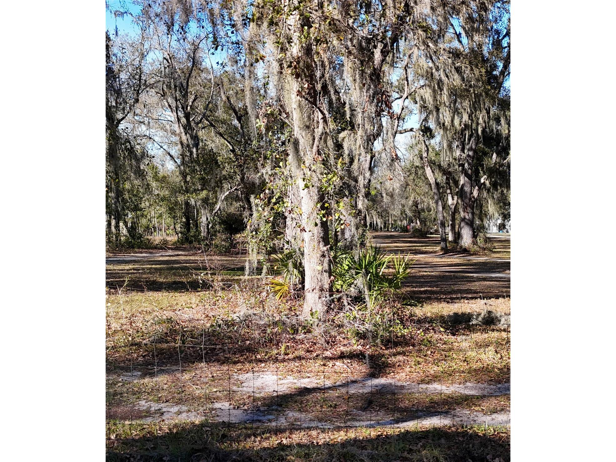 3015 Owls Nest Lane Plant City FL 33565 GC537869 image9