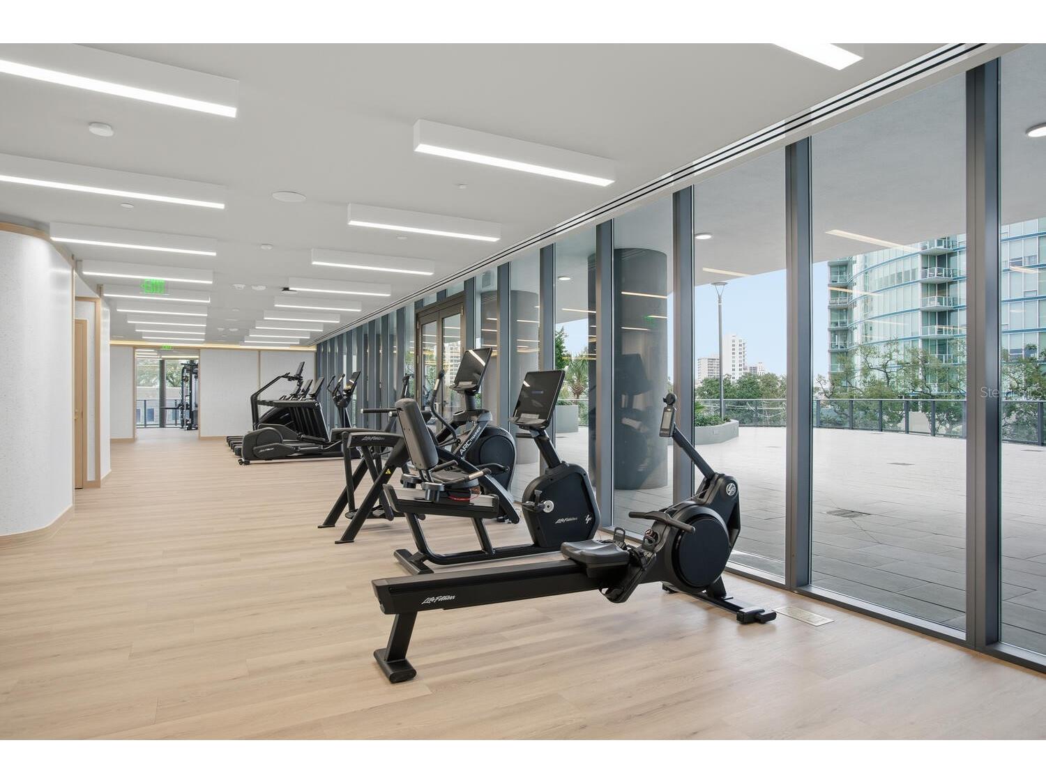 3015 S Ysabella Avenue #1203 Tampa FL 33629 TB8475870 image27