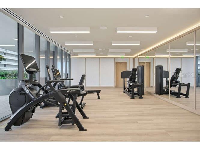 3015 S Ysabella Avenue #1503 Tampa FL 33629 TB8476798 image69