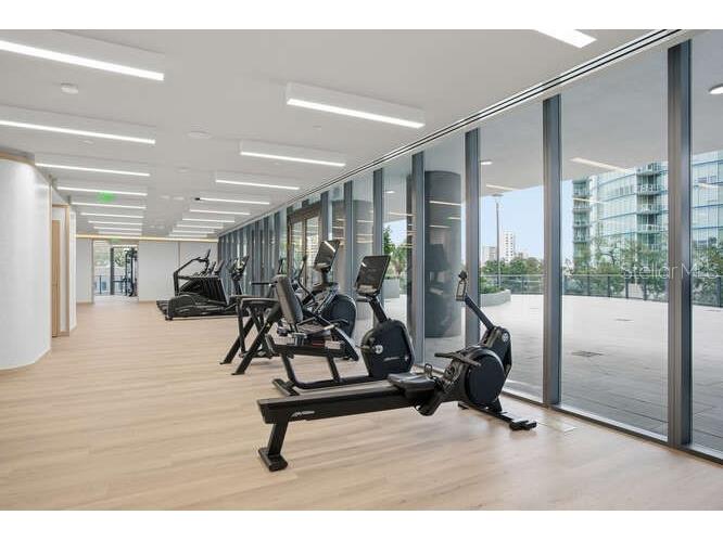 3015 S Ysabella Avenue #1503 Tampa FL 33629 TB8476798 image72