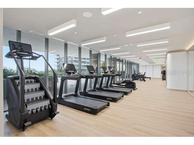 3015 S Ysabella Avenue #1503 Tampa FL 33629 TB8476798 image73