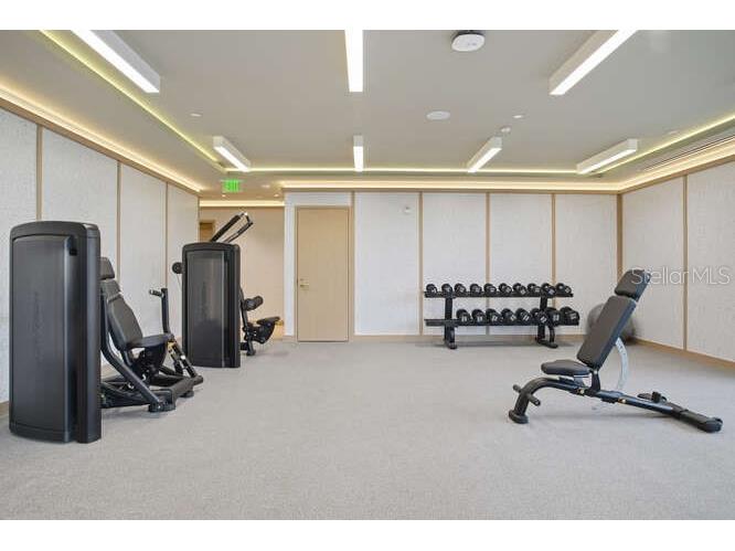 3015 S Ysabella Avenue #1503 Tampa FL 33629 TB8476798 image75