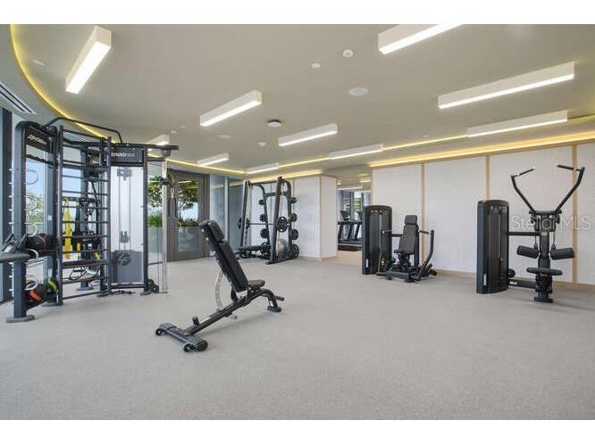 3015 S Ysabella Avenue #1504 Tampa FL 33629 TB8506732 image12