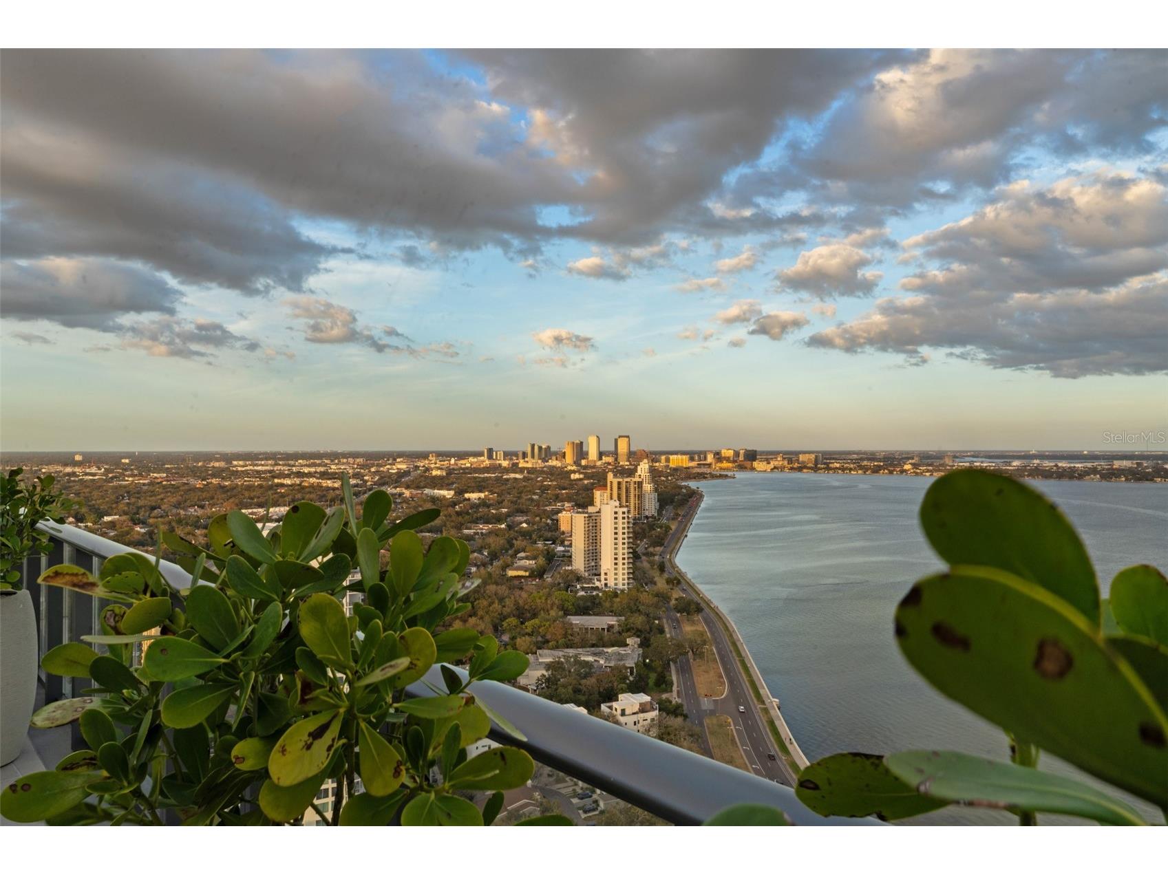 3015 S Ysabella Avenue #1901 Tampa FL 33629 TB8478327 image68