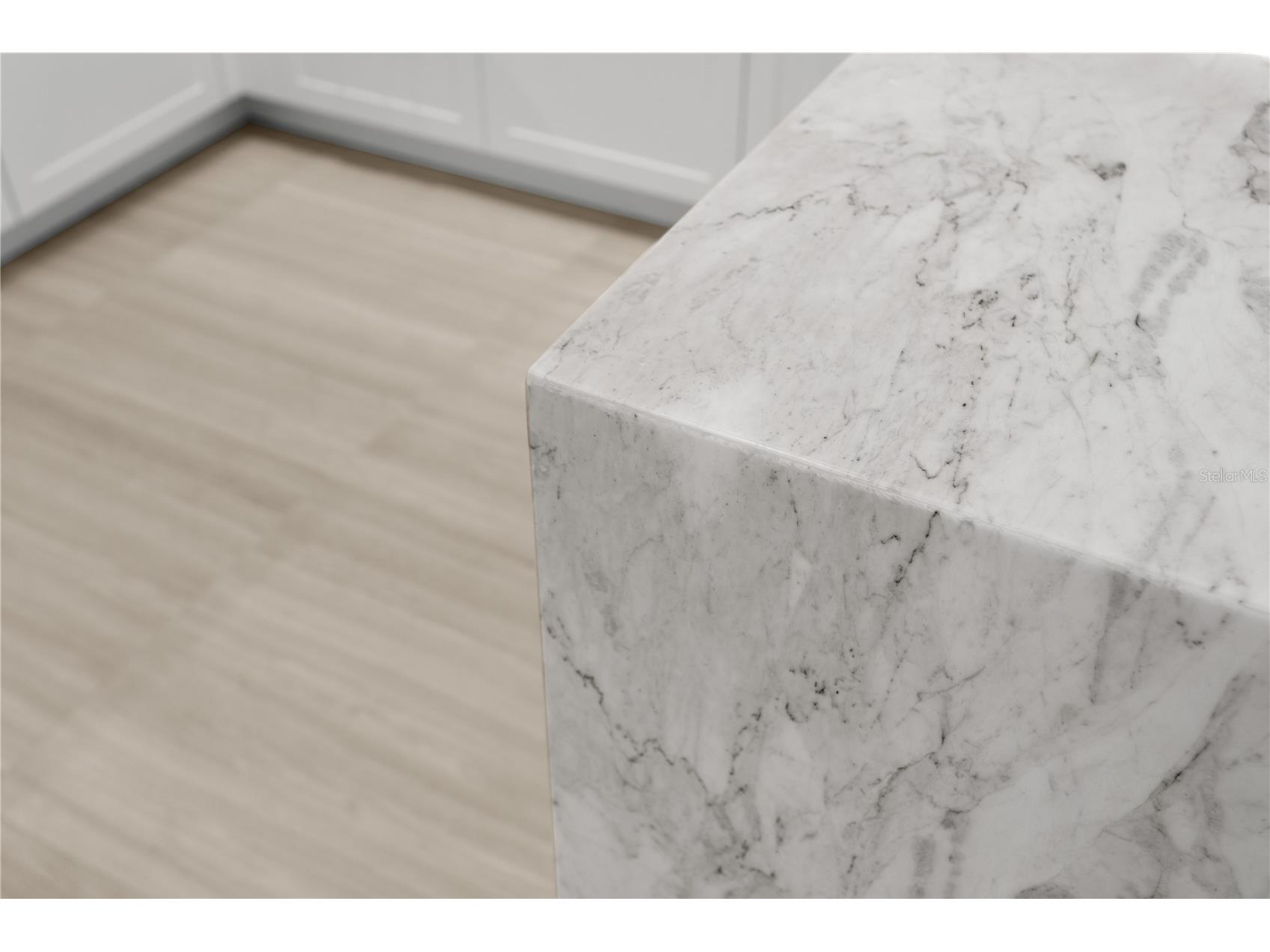 3015 S Ysabella Avenue #2301 Tampa FL 33629 TB8470584 image15