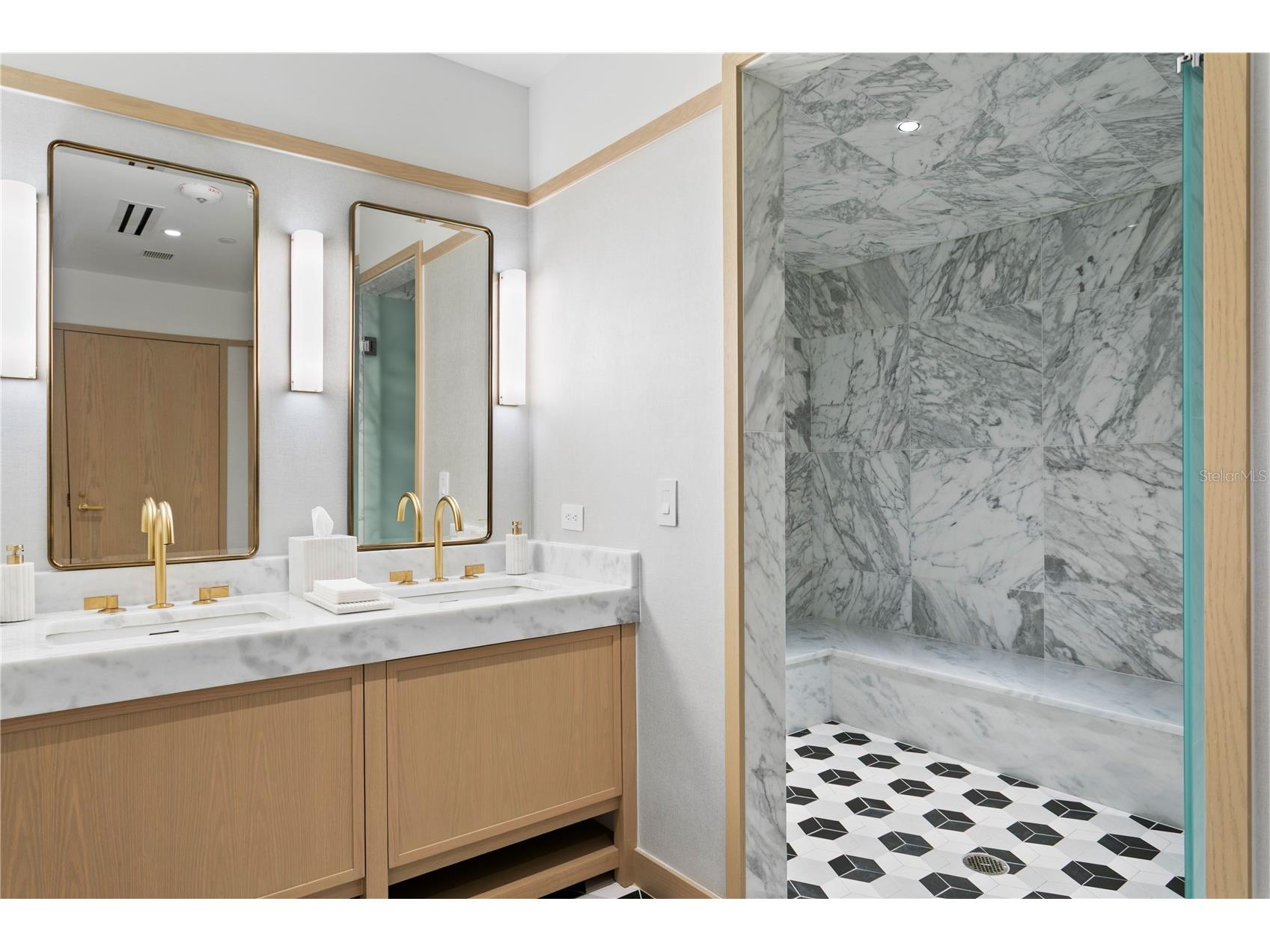 3015 S Ysabella Avenue #2301 Tampa FL 33629 TB8470584 image57