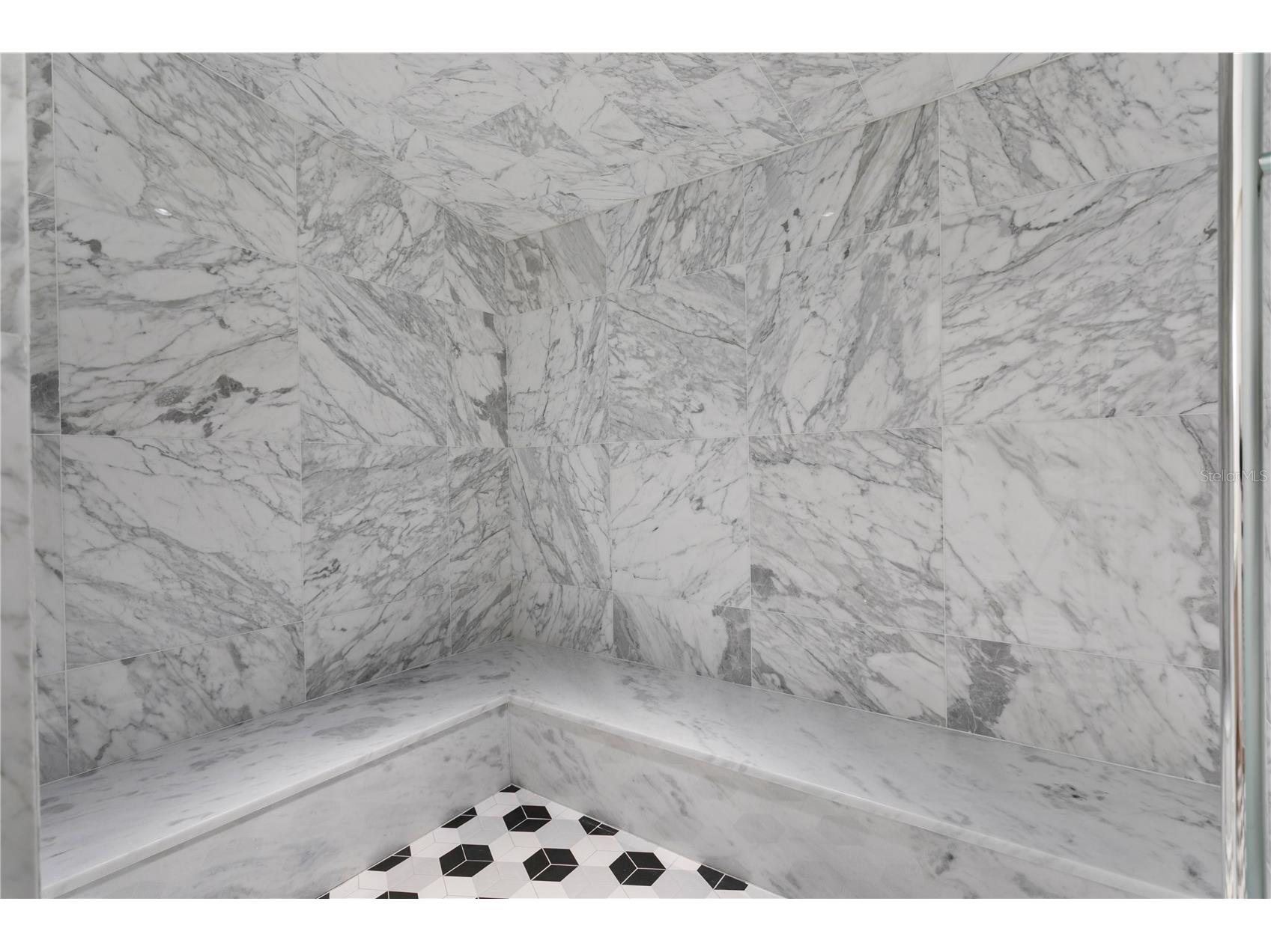 3015 S Ysabella Avenue #2301 Tampa FL 33629 TB8470584 image58