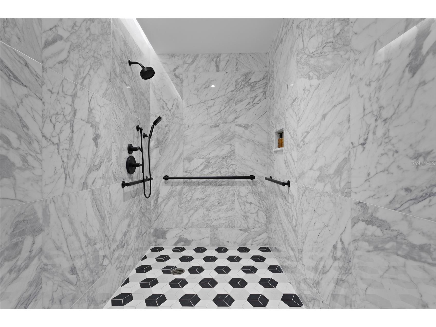 3015 S Ysabella Avenue #2301 Tampa FL 33629 TB8470584 image60