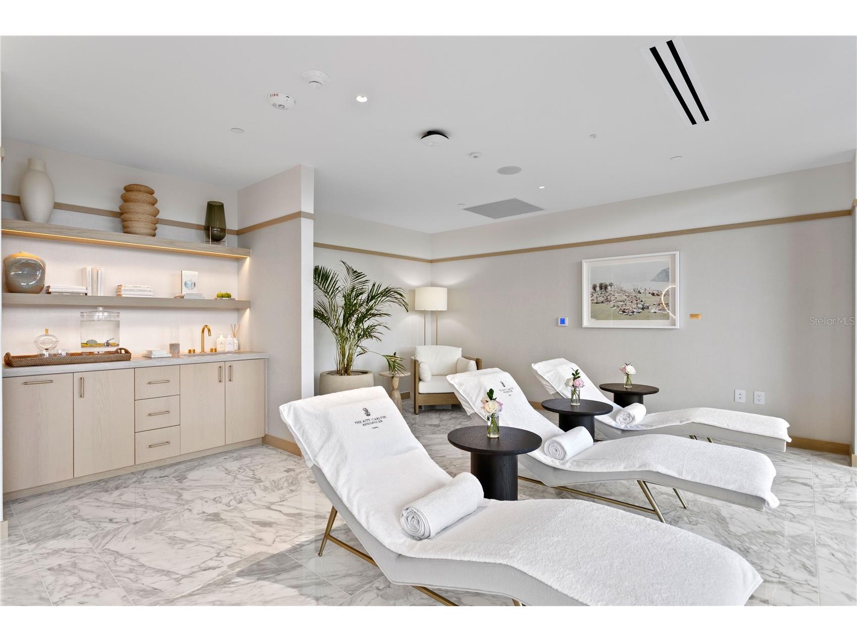 3015 S Ysabella Avenue #2301 Tampa FL 33629 TB8470584 image62