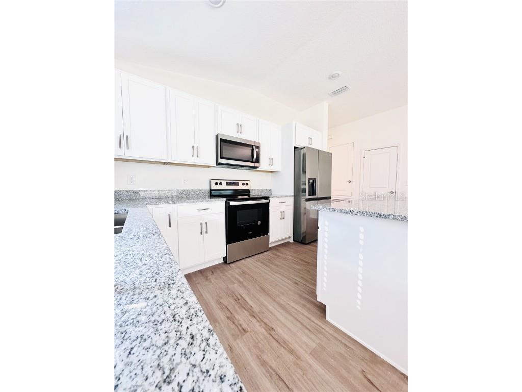 3015 Sancruary Drive Clermont FL 34714 T3527959 image1