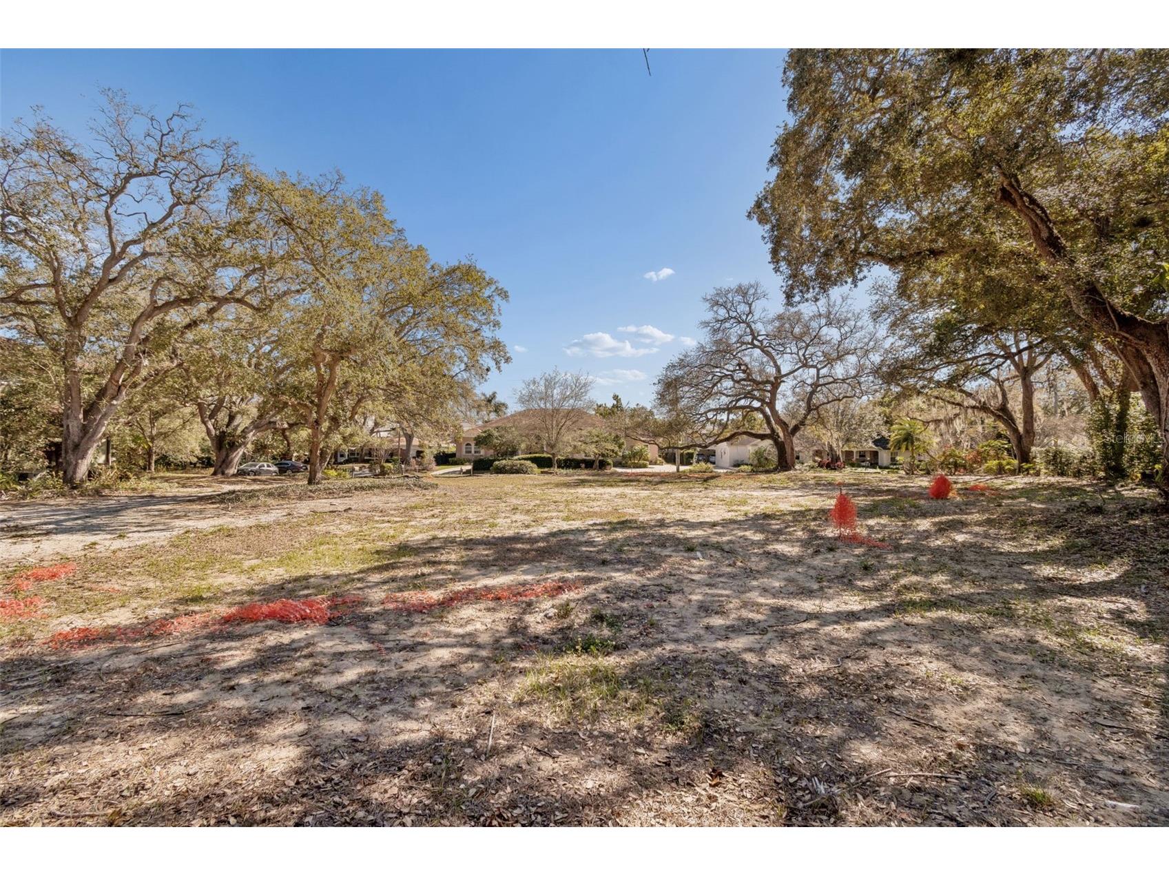 3015 W Fair Oaks Avenue Tampa FL 33611 TB8480518 image3