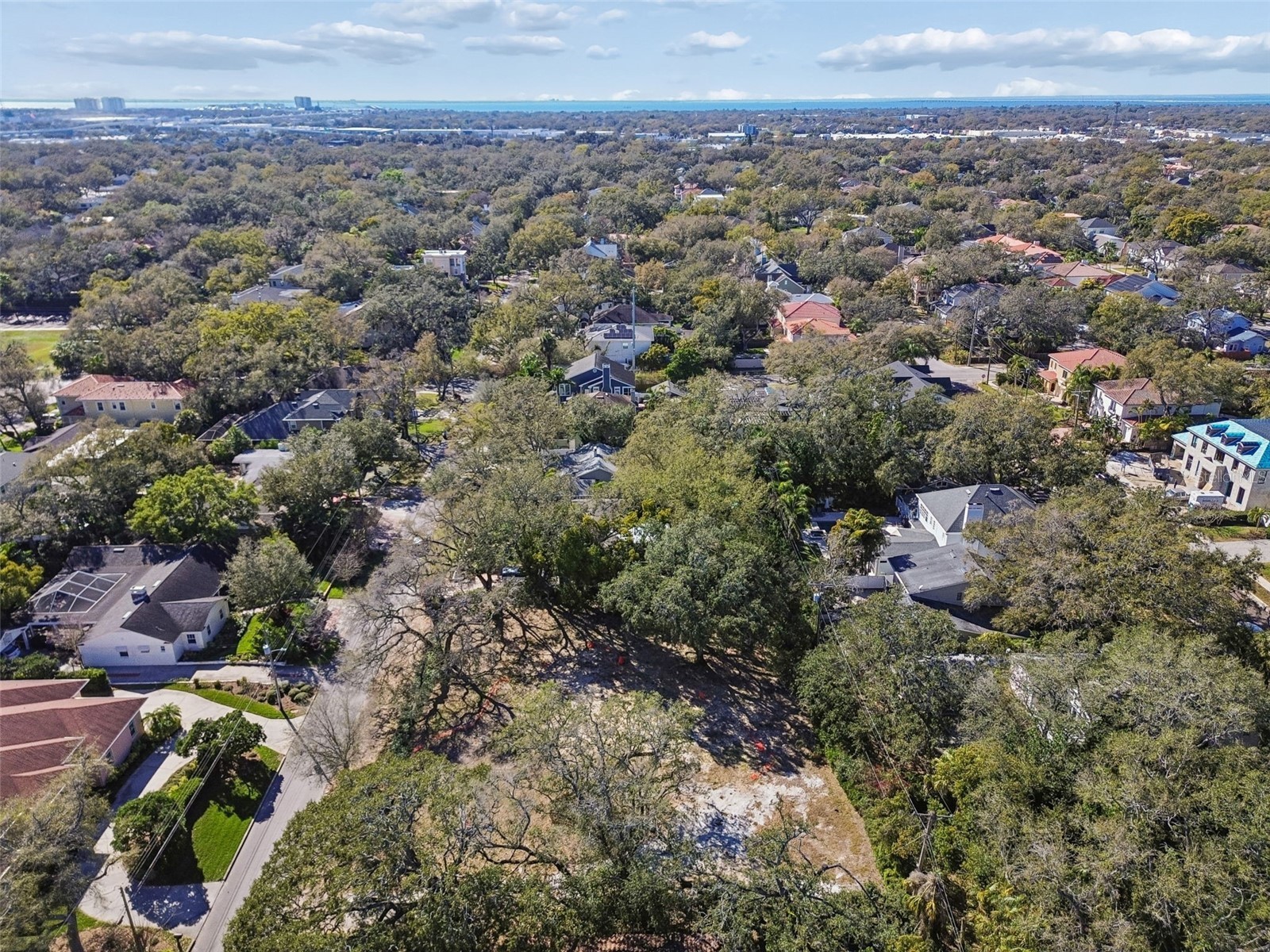 3015 W Fair Oaks Avenue Tampa FL 33611 TB8480518 image9
