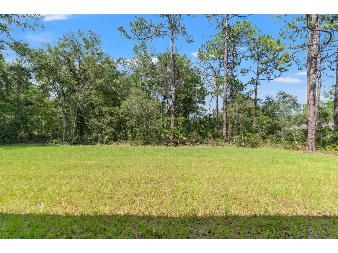 3015 W Juliet Place Citrus Springs FL 34433 OM706076 image46