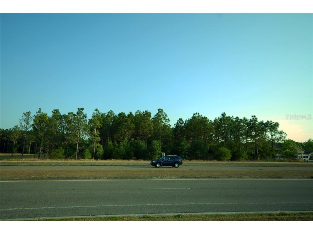 30150 Overpass Road Wesley Chapel FL 33545 T2878573 image1