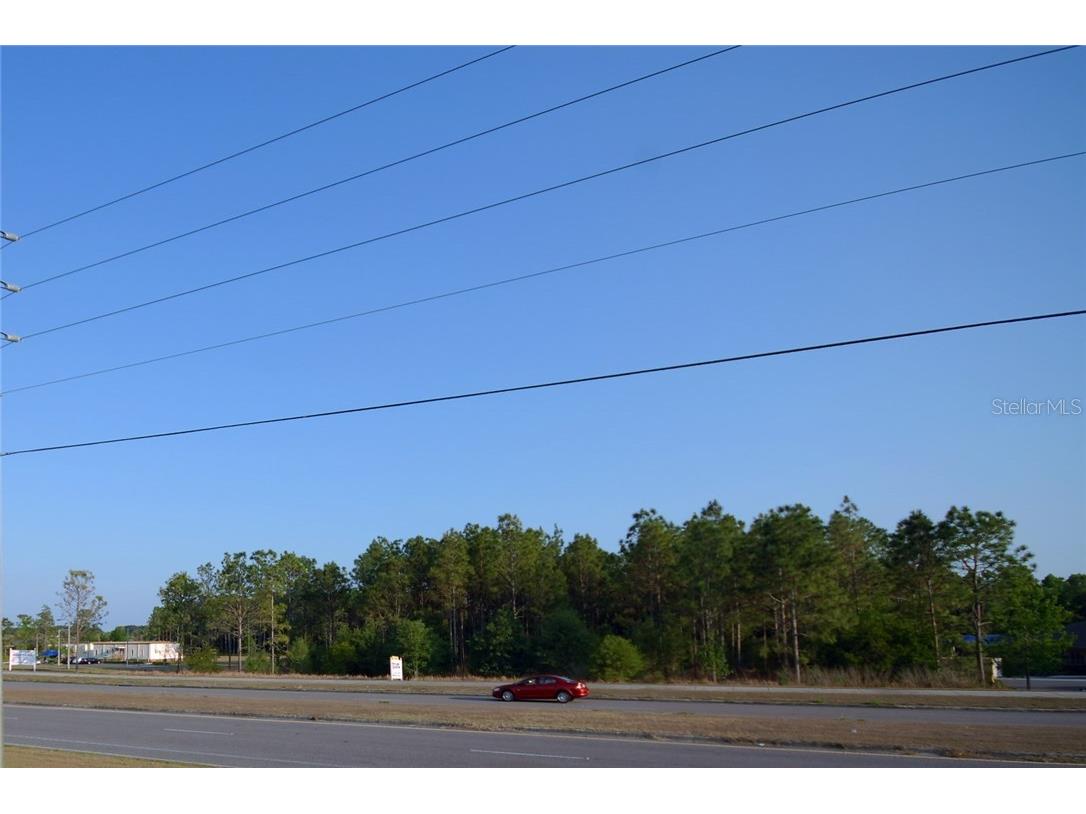 30150 Overpass Road Wesley Chapel FL 33545 T2878573 image3