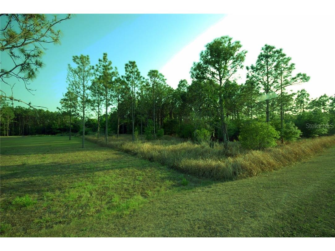 30150 Overpass Road Wesley Chapel FL 33545 T2878573 image4