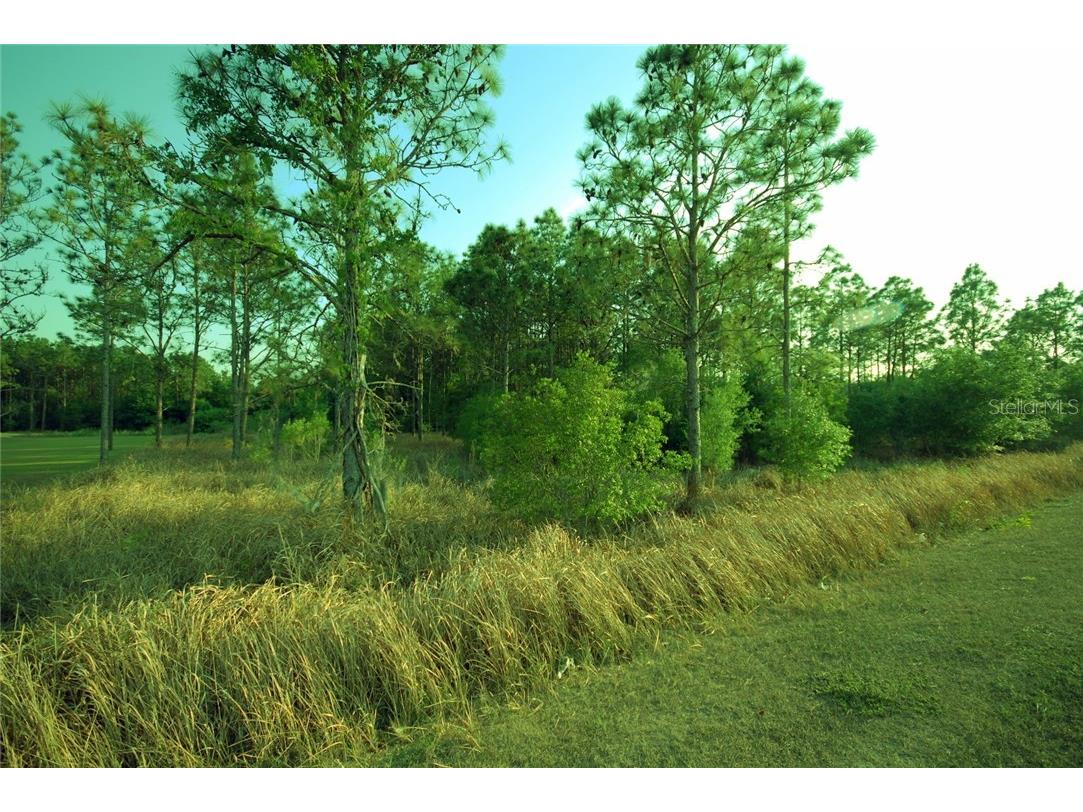 30150 Overpass Road Wesley Chapel FL 33545 T2878573 image5