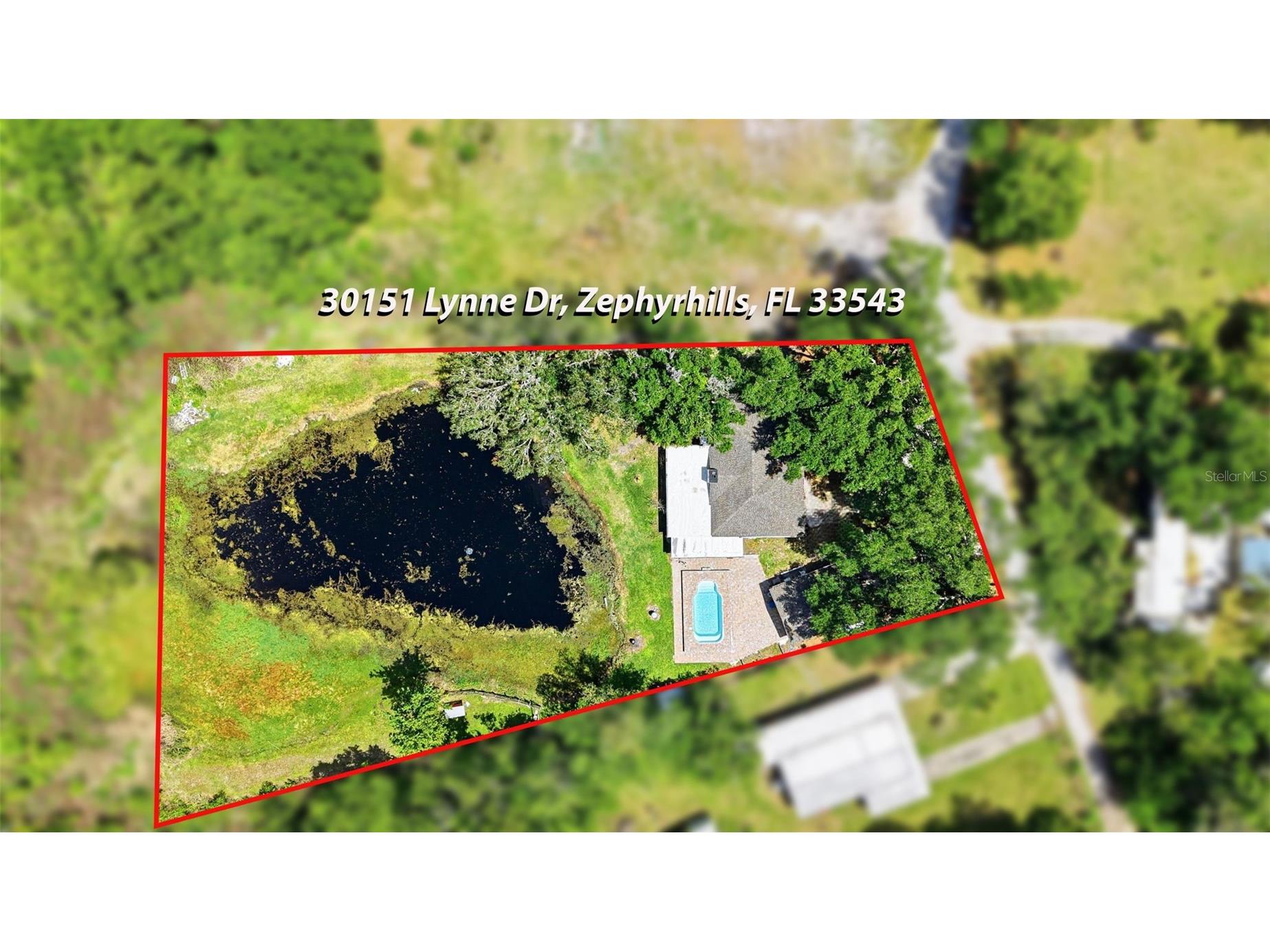 30151 Lynne Drive Wesley Chapel FL 33543 TB8497398 image57