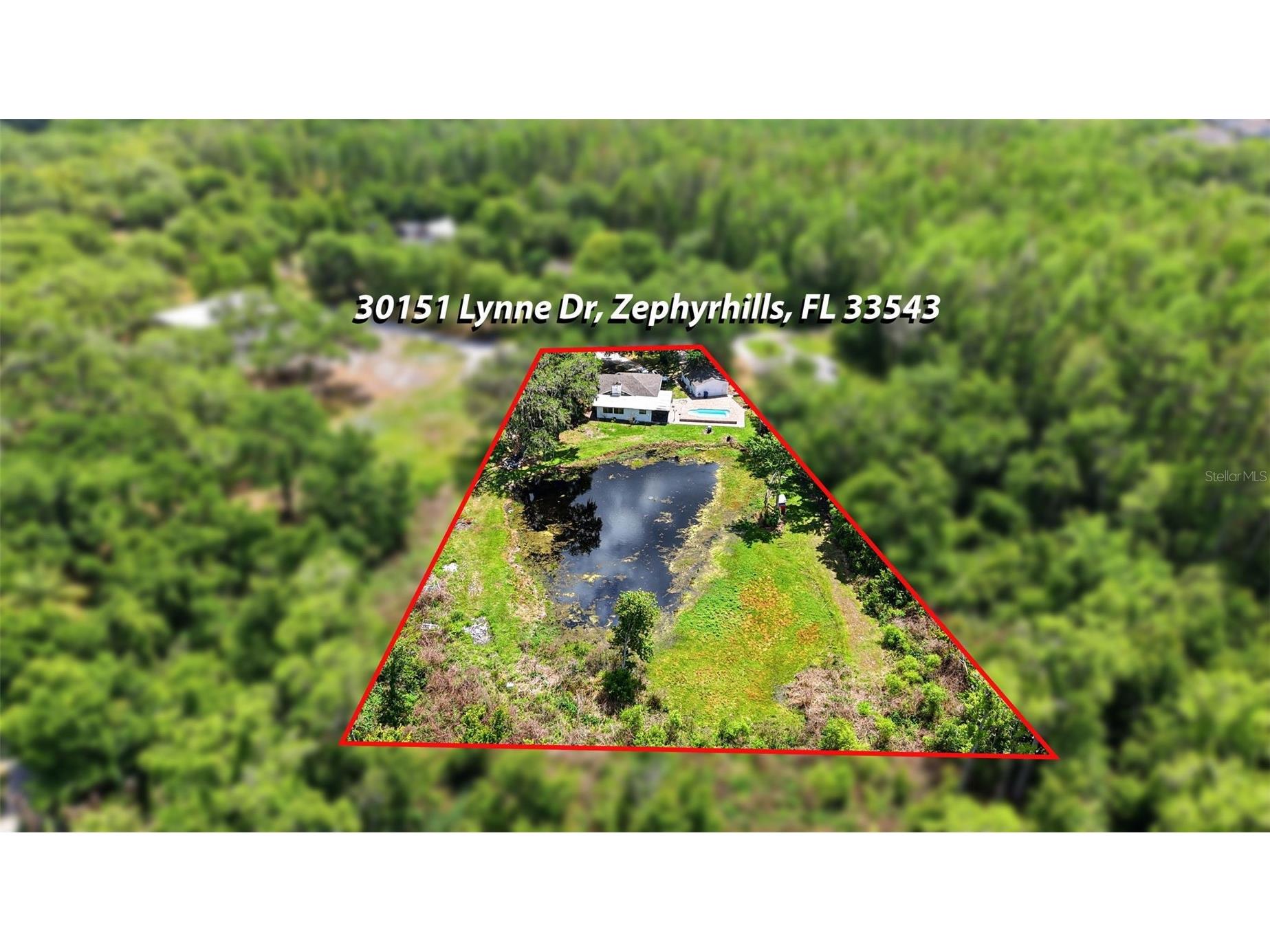 30151 Lynne Drive Wesley Chapel FL 33543 TB8497398 image58