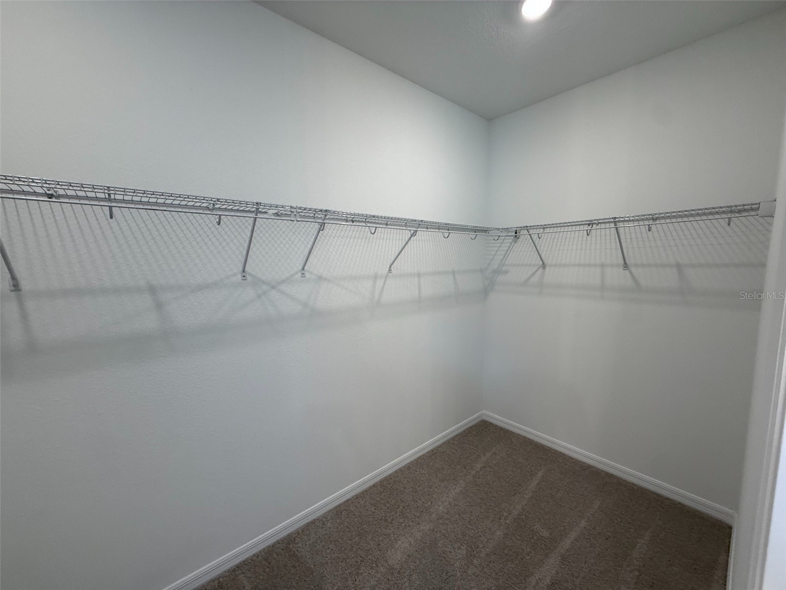 30153 Misty Pines Road Mount Dora FL 32757 TB8515288 image14