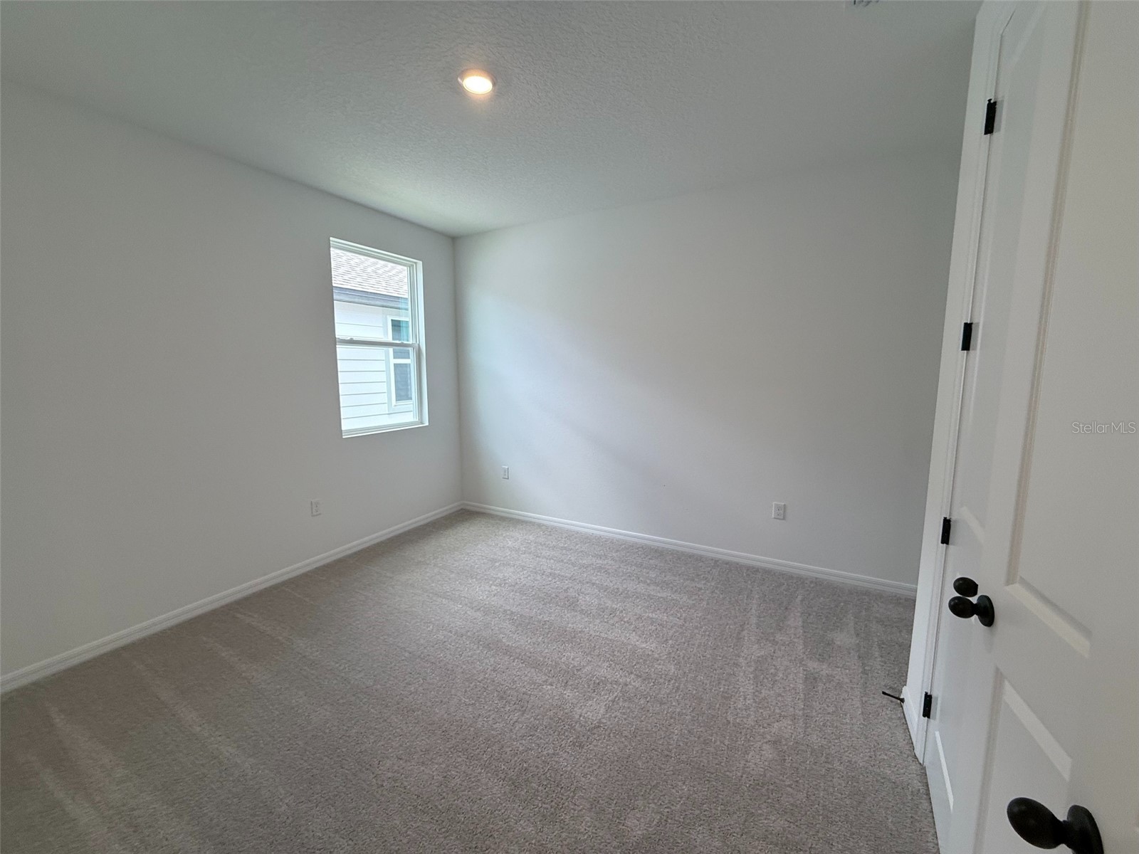 30153 Misty Pines Road Mount Dora FL 32757 TB8515288 image15