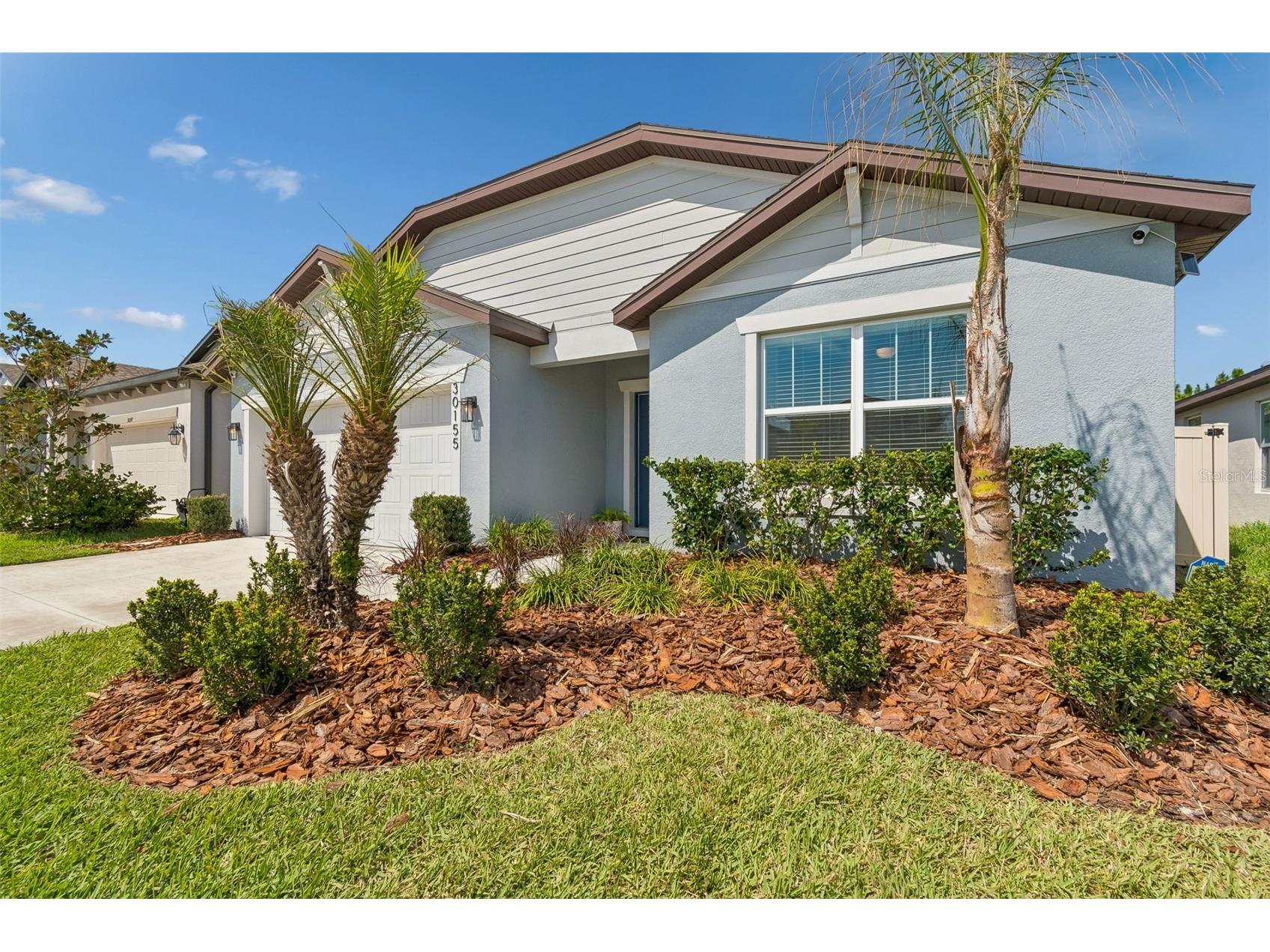 30155 Merilee Place Wesley Chapel FL 33545 TB8485186 image1