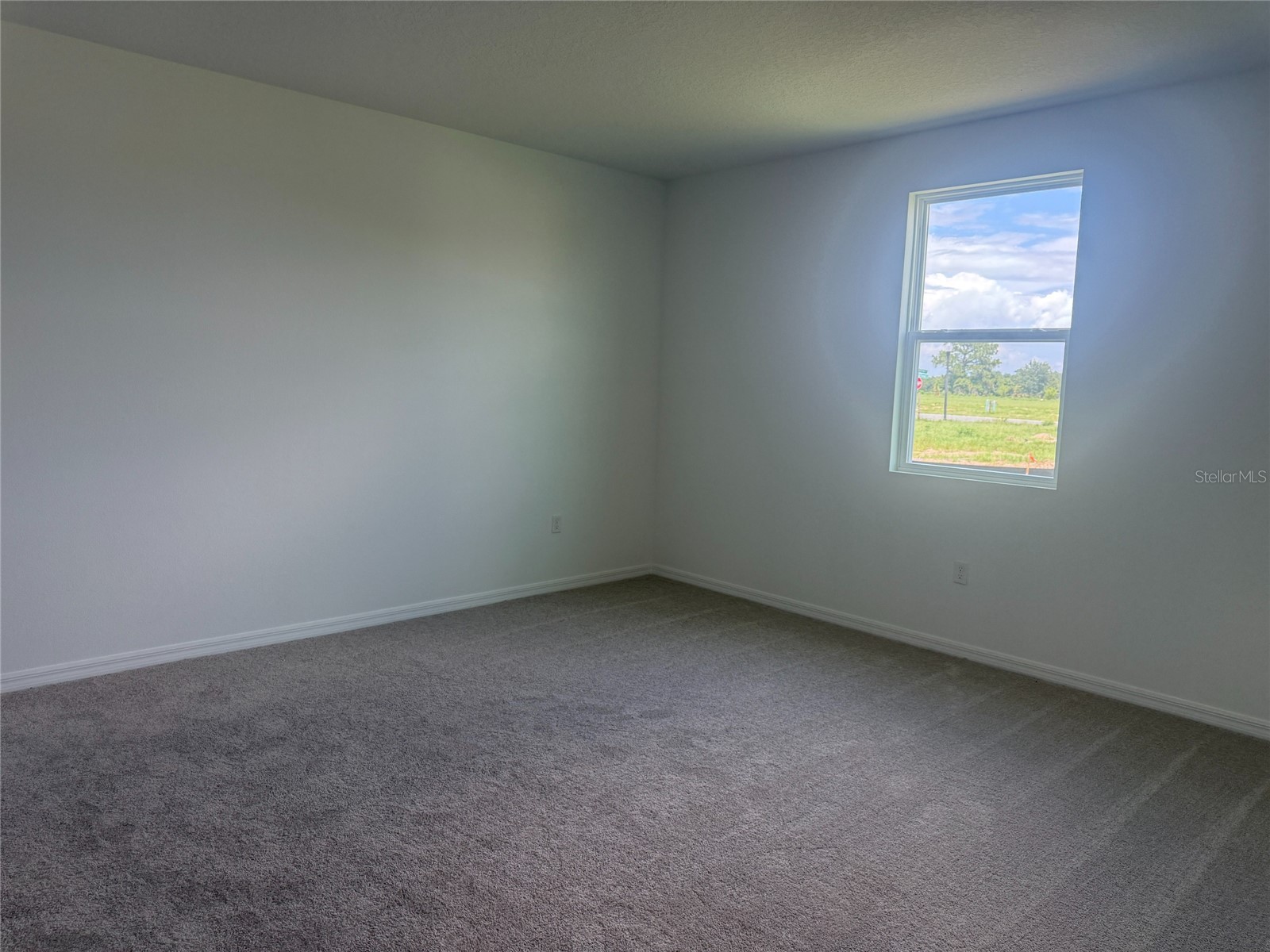 30157 Misty Pines Road Mount Dora FL 32757 TB8515264 image13