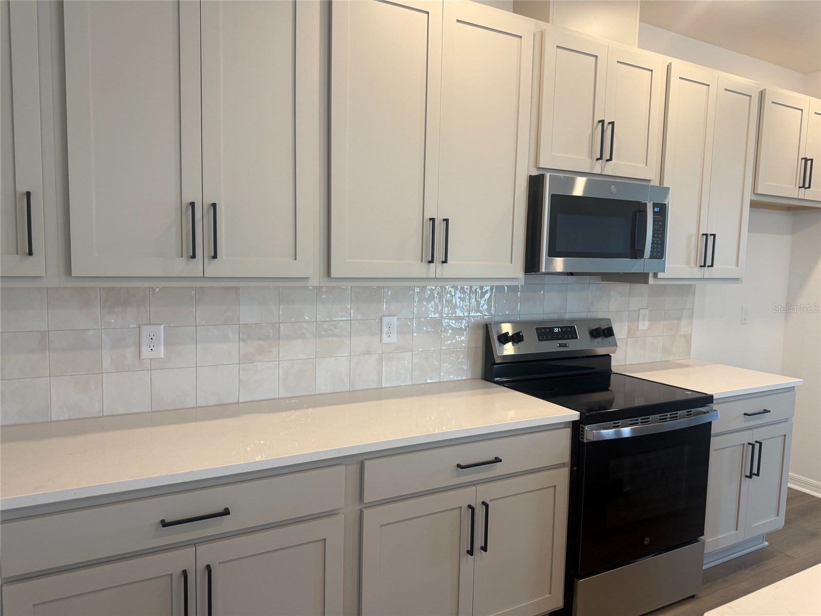 30157 Misty Pines Road Mount Dora FL 32757 TB8515264 image4