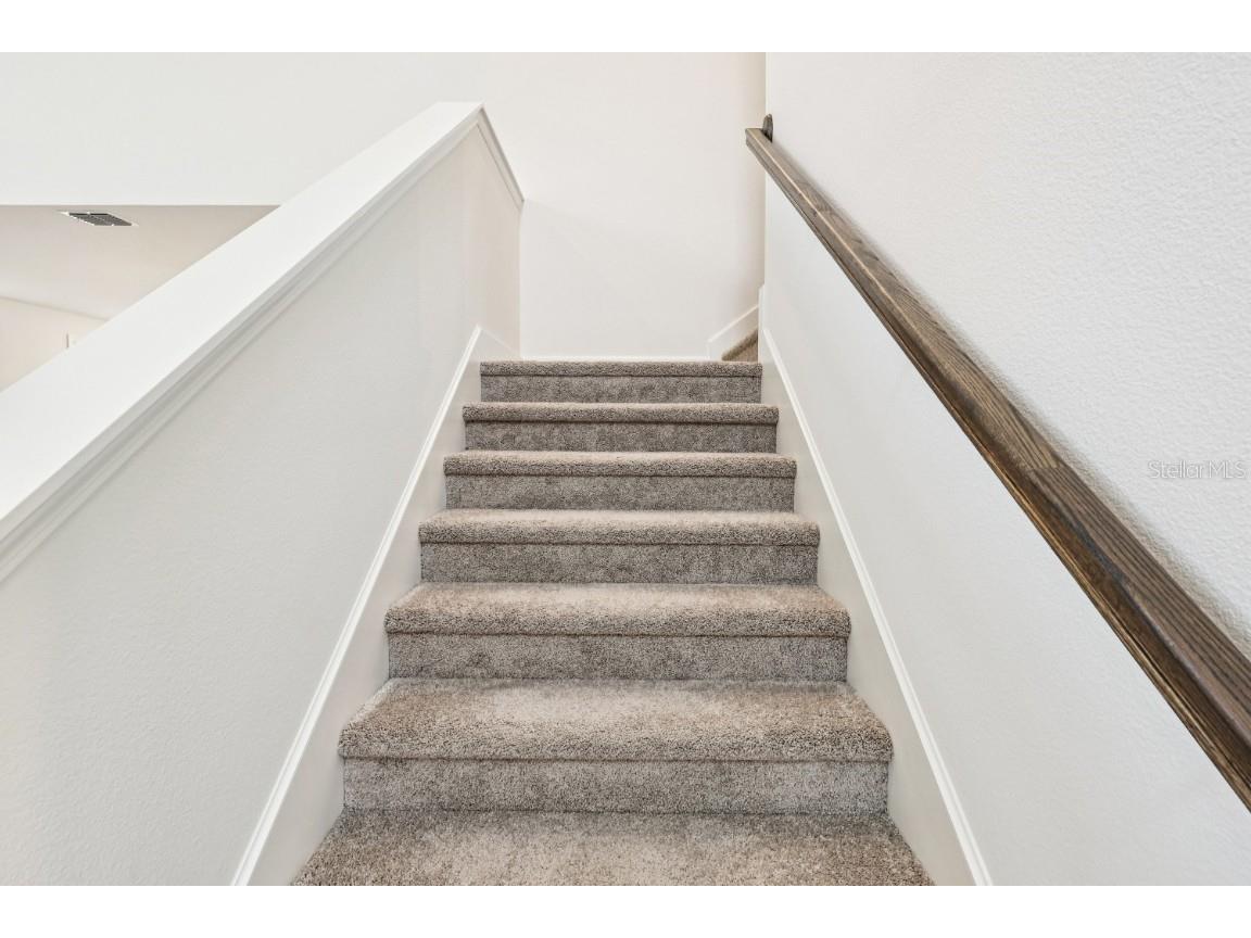 30158 Rustic Mill Street Mount Dora FL 32757 O6286431 image17