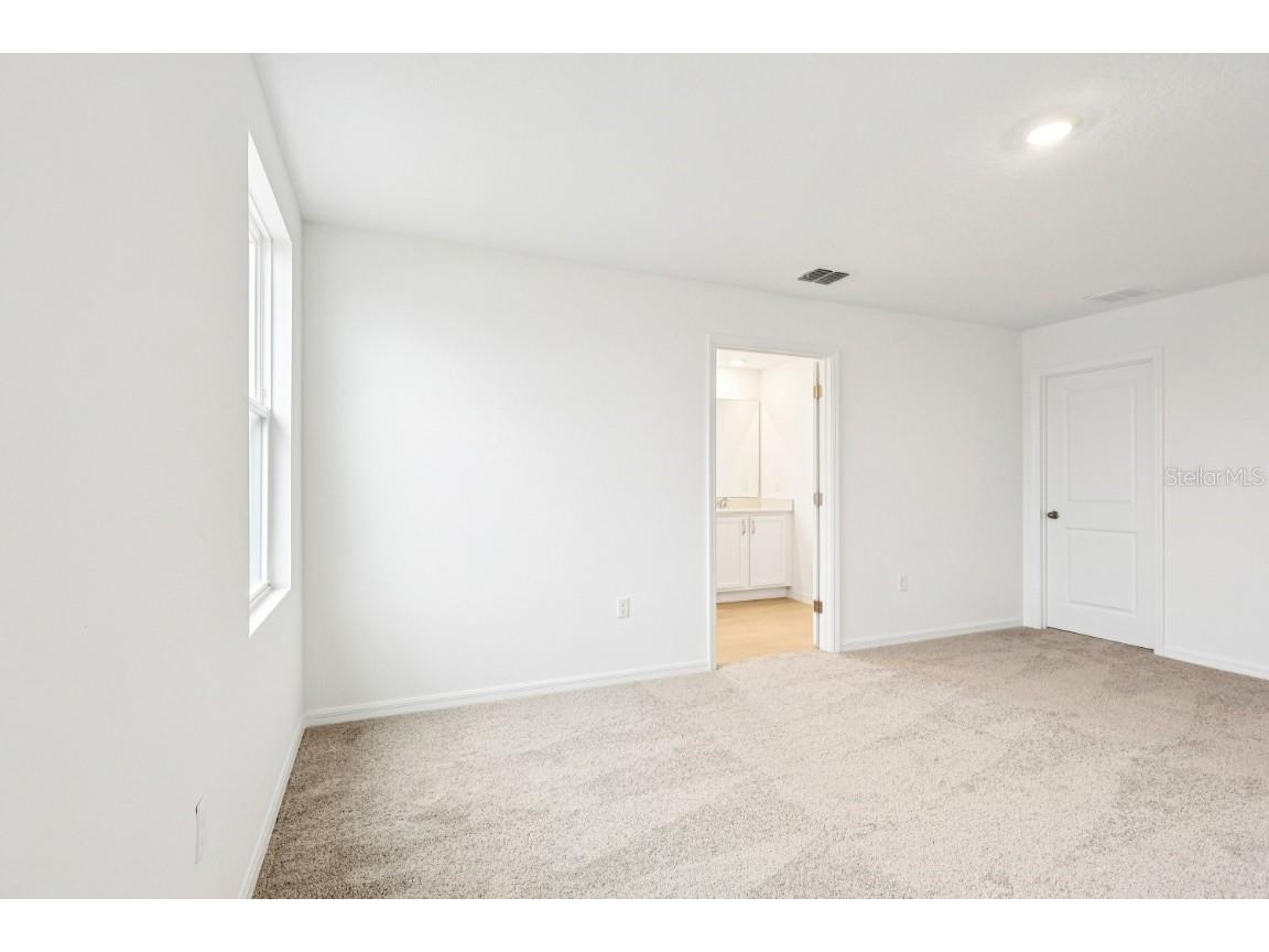 30158 Rustic Mill Street Mount Dora FL 32757 O6286431 image29