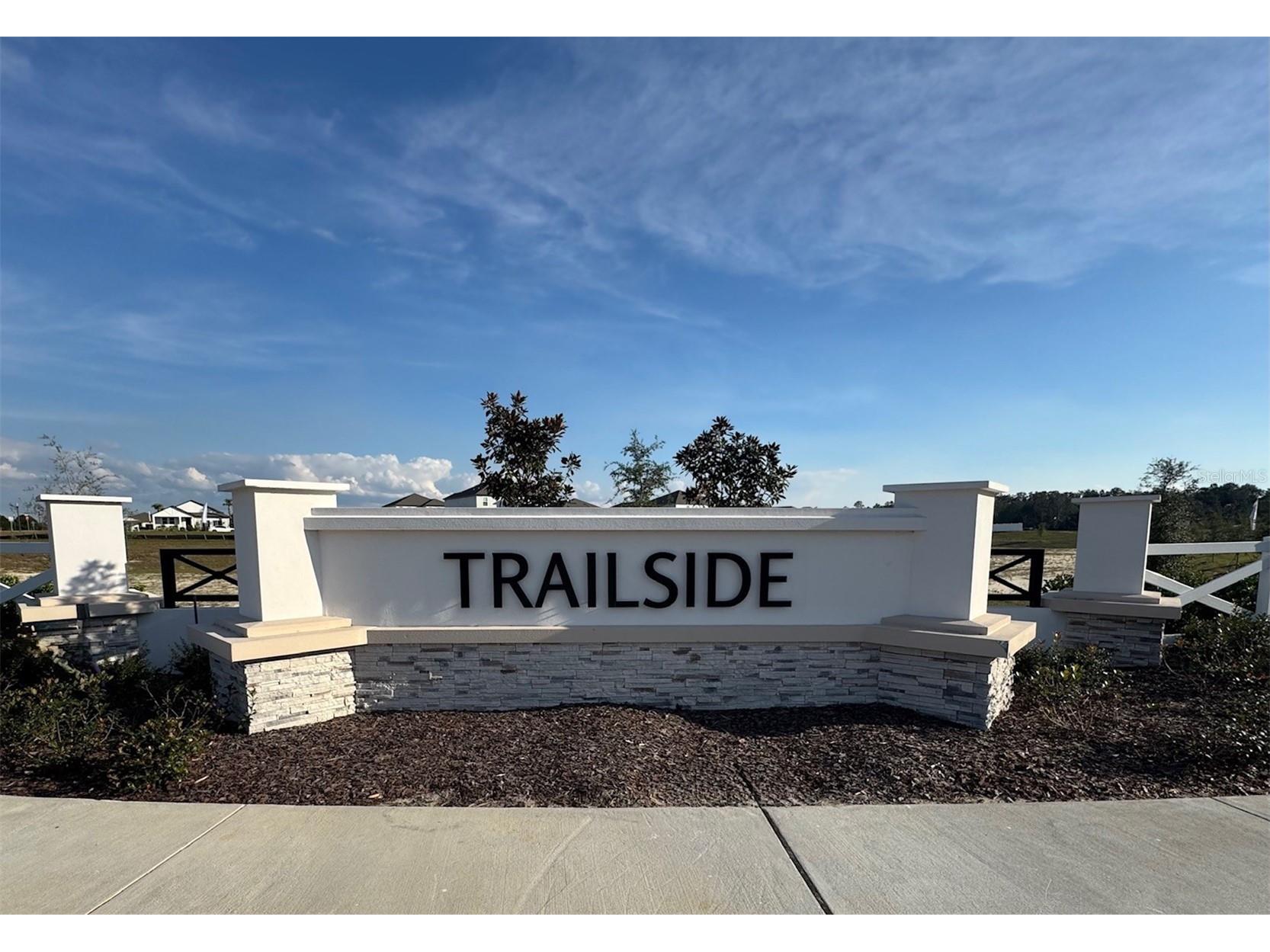 30158 Rustic Mill Street Mount Dora FL 32757 O6286431 image42