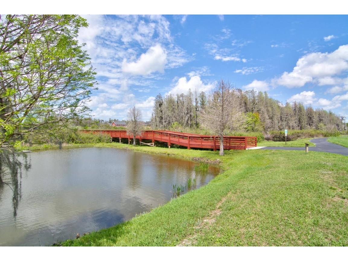 3016 Alachua Place New Port Richey FL 34655 W7879743 image40