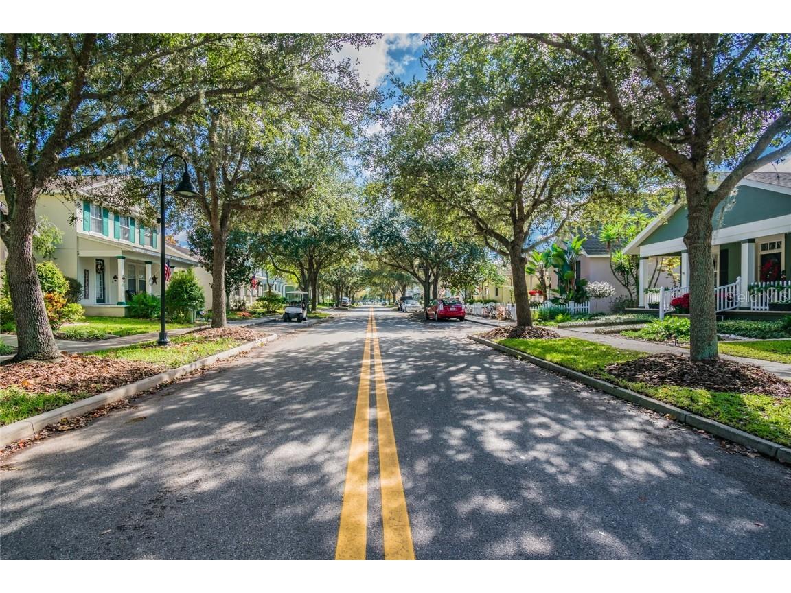 3016 Alachua Place New Port Richey FL 34655 W7879743 image43